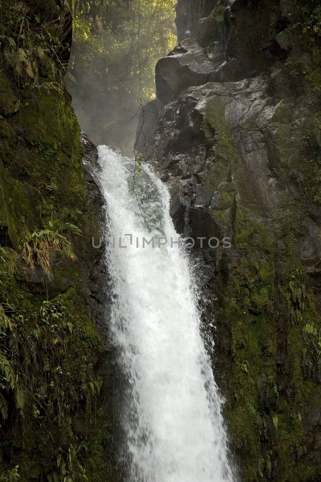 Waterfall La Paz in Costa Rica by vanessadevolder