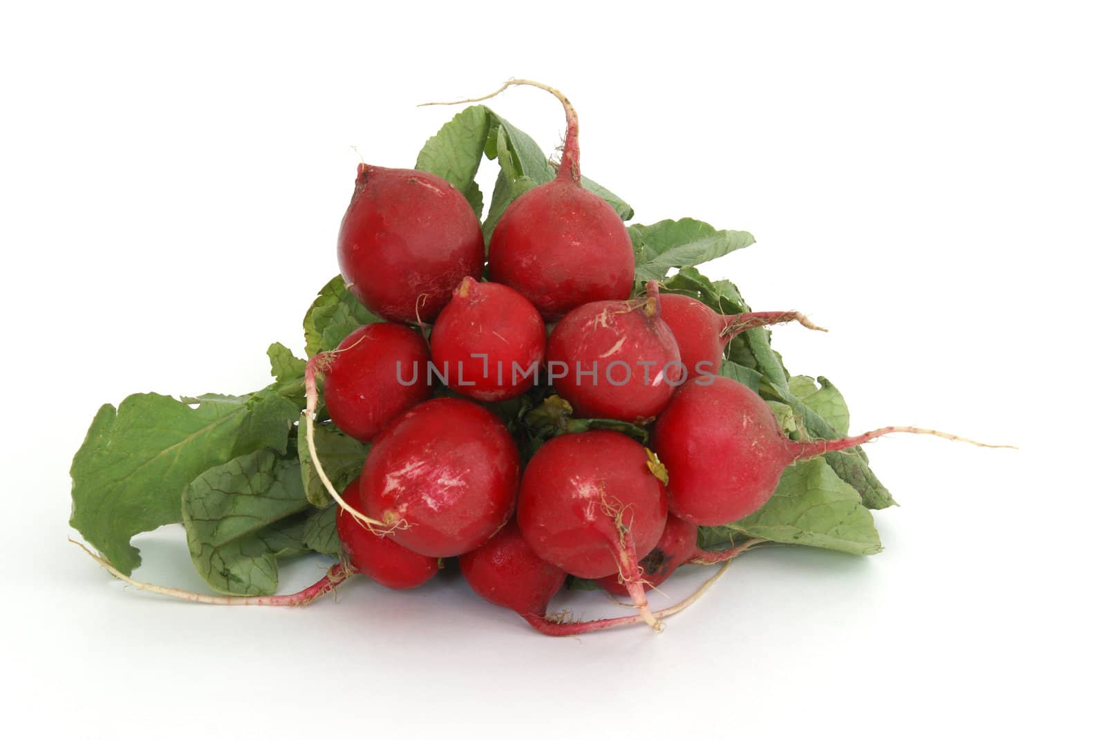 A group of fresh radishes over white background.