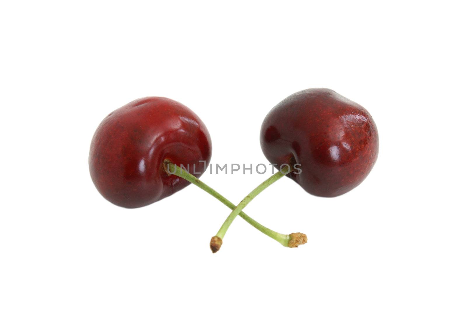 A couple of isolated cherries on white background.