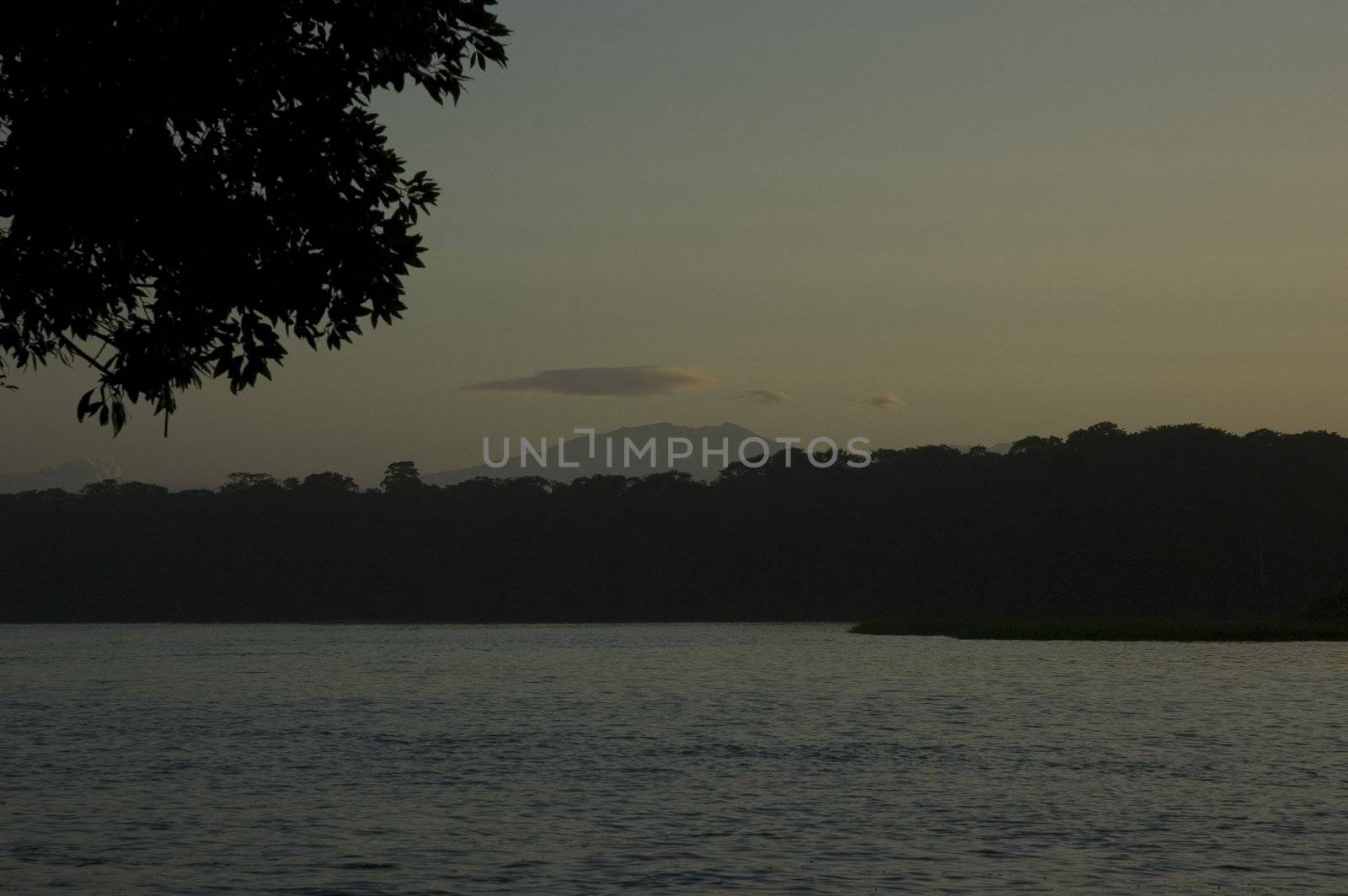 River in Tortuguero. Location: Costa Rica, Central America.