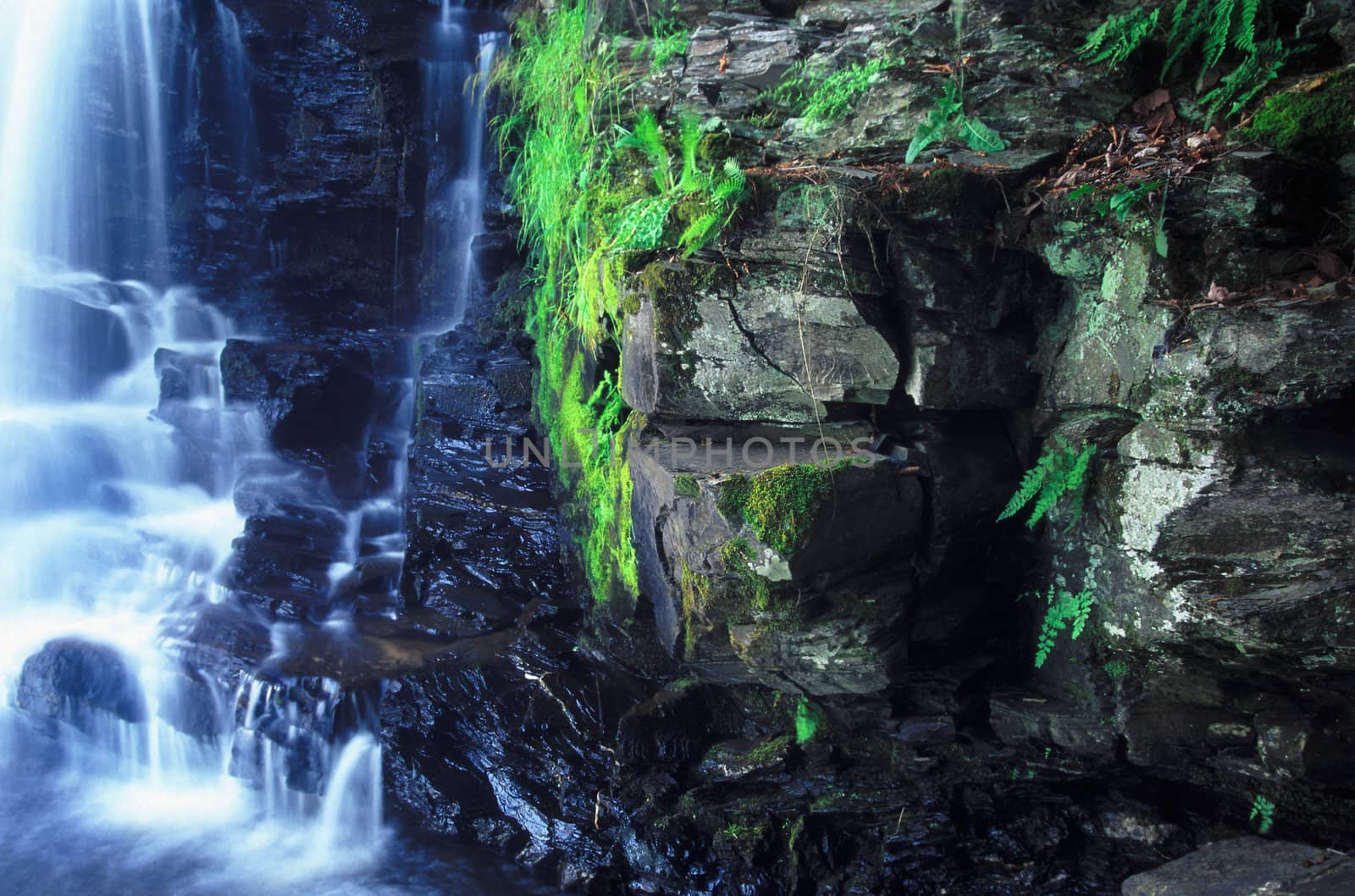 Vegetation grows along a dark cliff of Powerhouse Falls in northern Michigan.