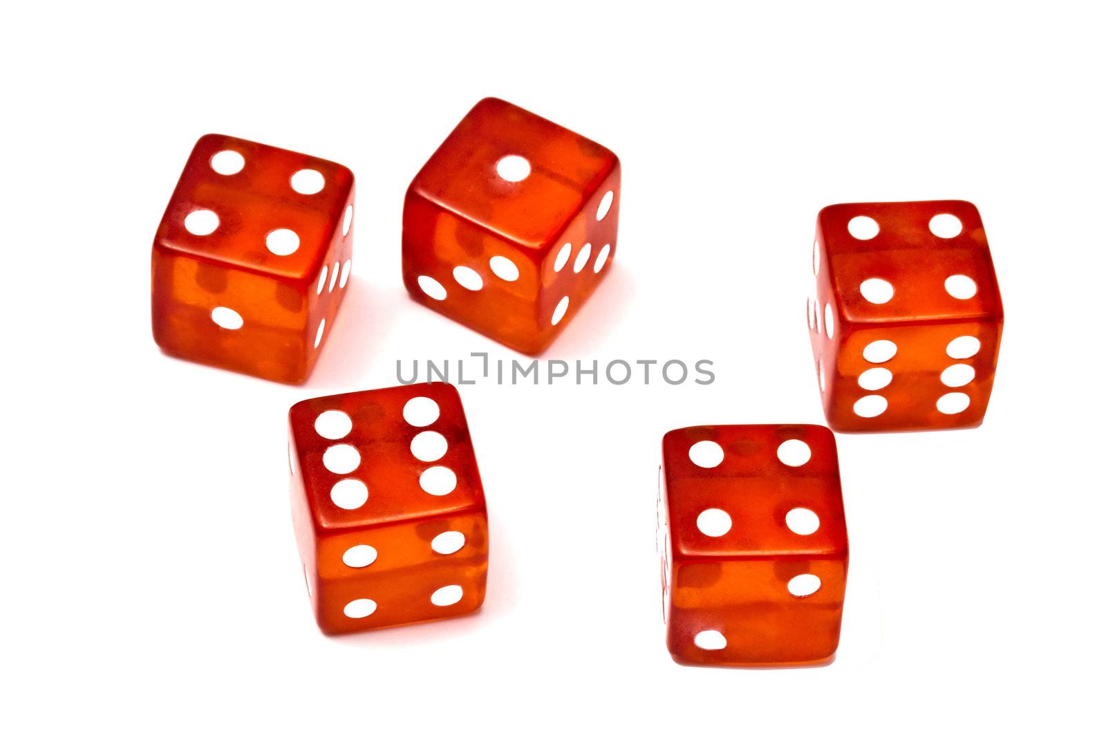 Red dice isolated on white background 
