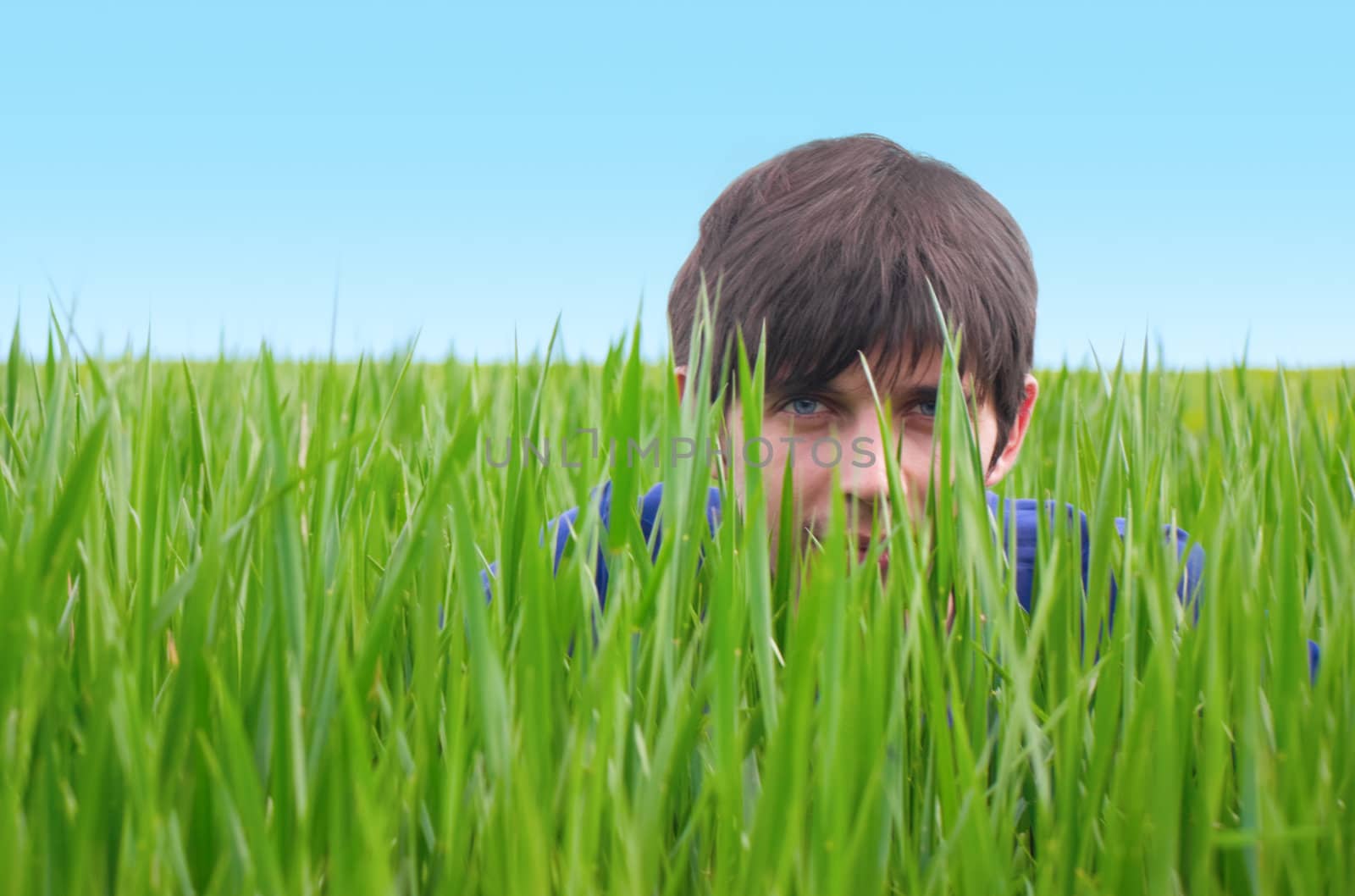 Young man hiding in the high green grass