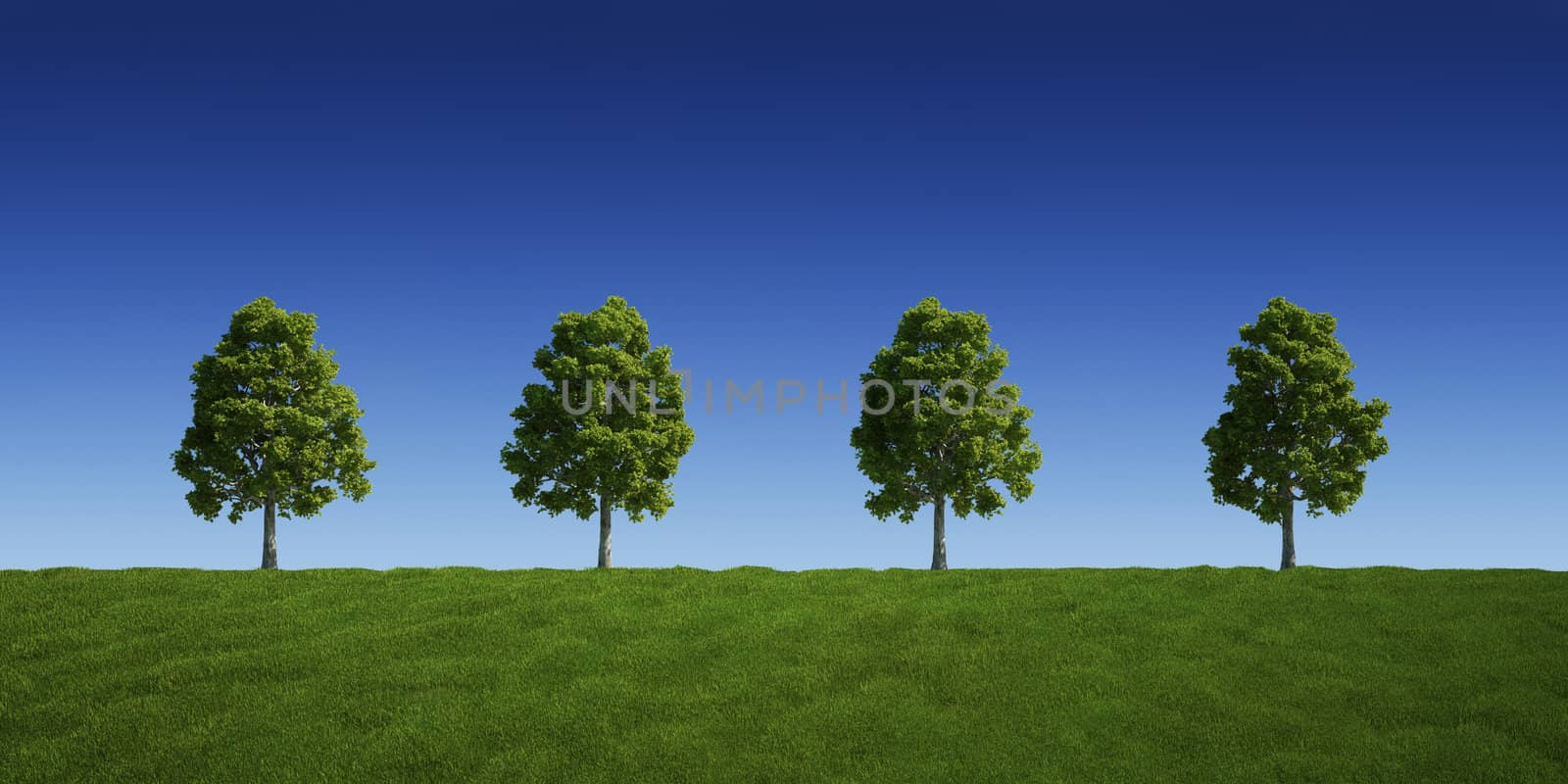 3d rendering of a green field 4 tree on a row
