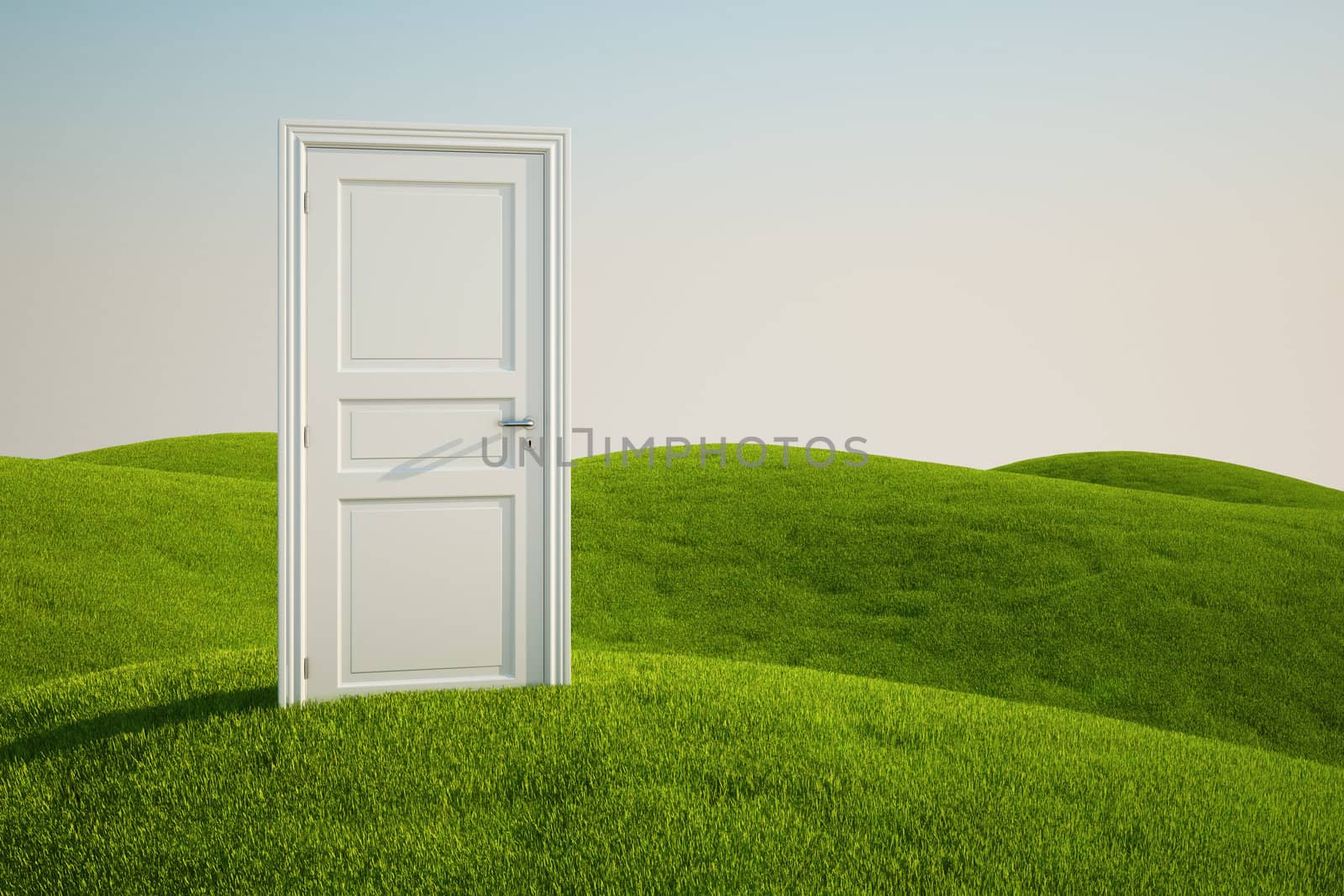 3D rendering of a grass field with a door