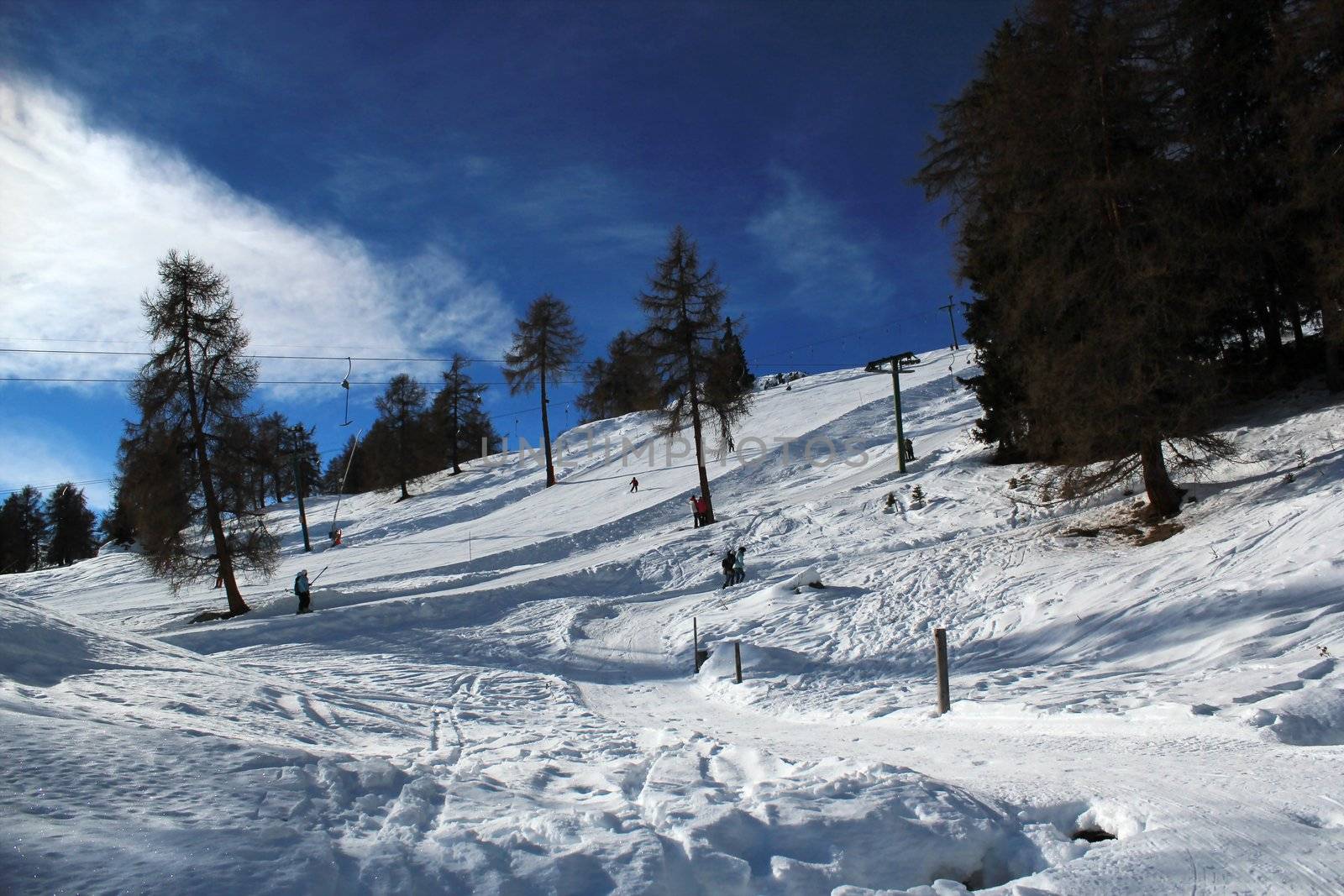 Winter snowy landscape in the Alps with fir trees by beautiful weather, Switzerland