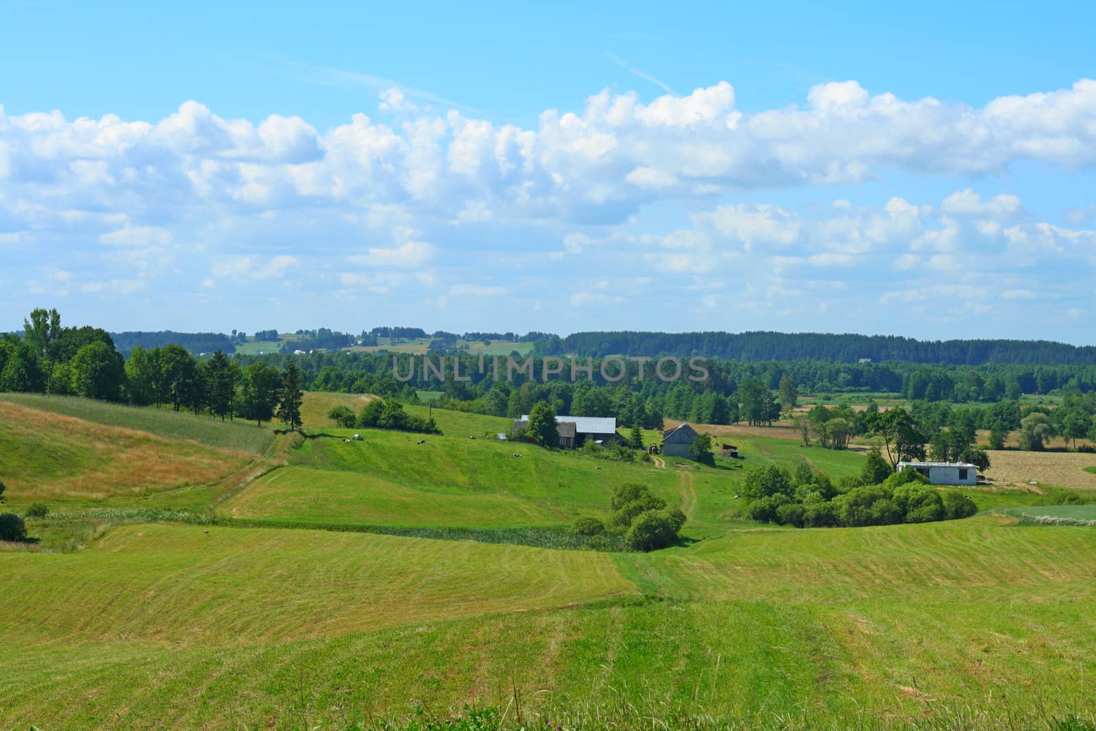 Beautiful summer landscape of green fields with bright blue sky