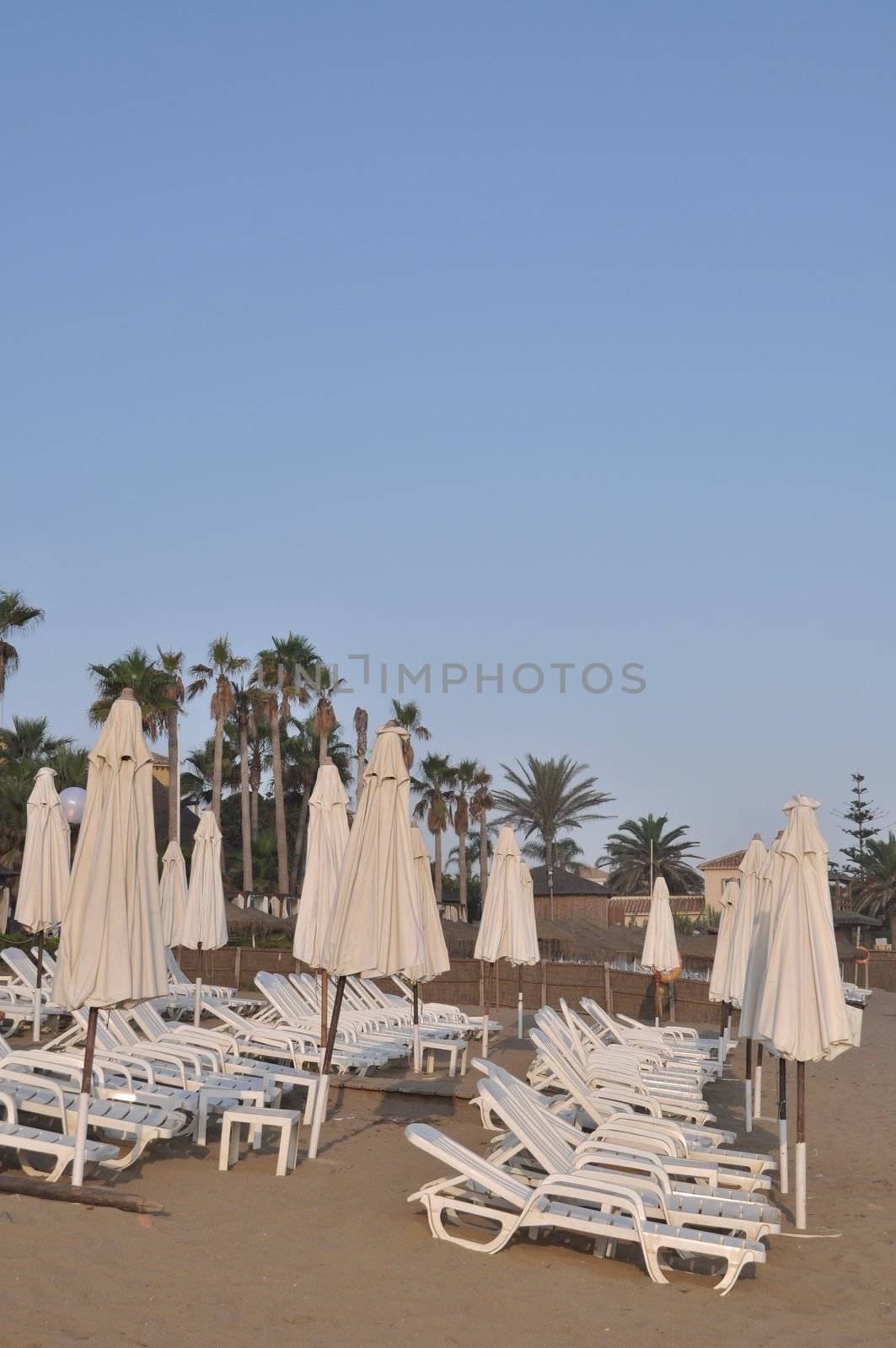 resort beach with chairs and umbrellas (during sunset)