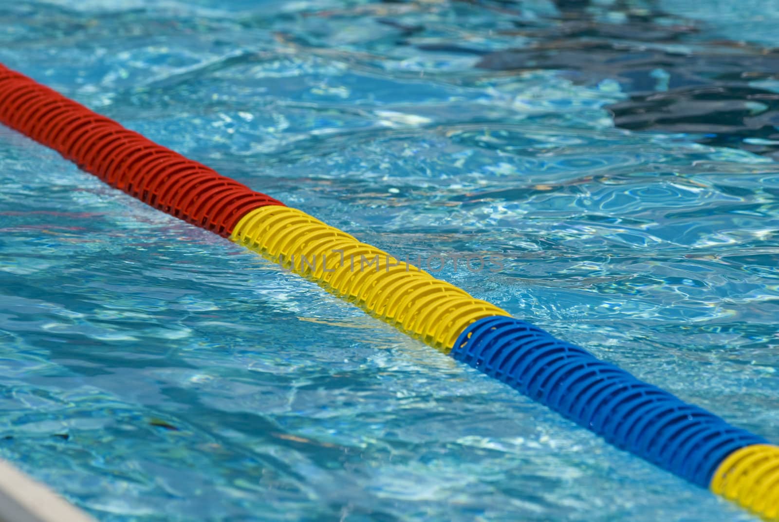 Swimming pool water surface detail with floaters.