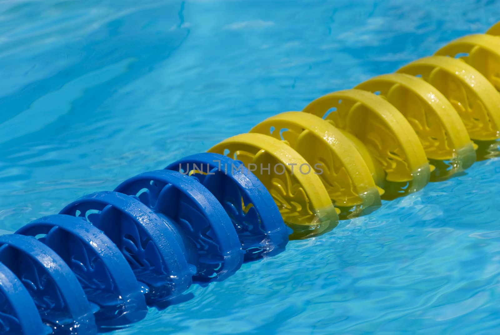 Swimming pool water surface detail with floaters.