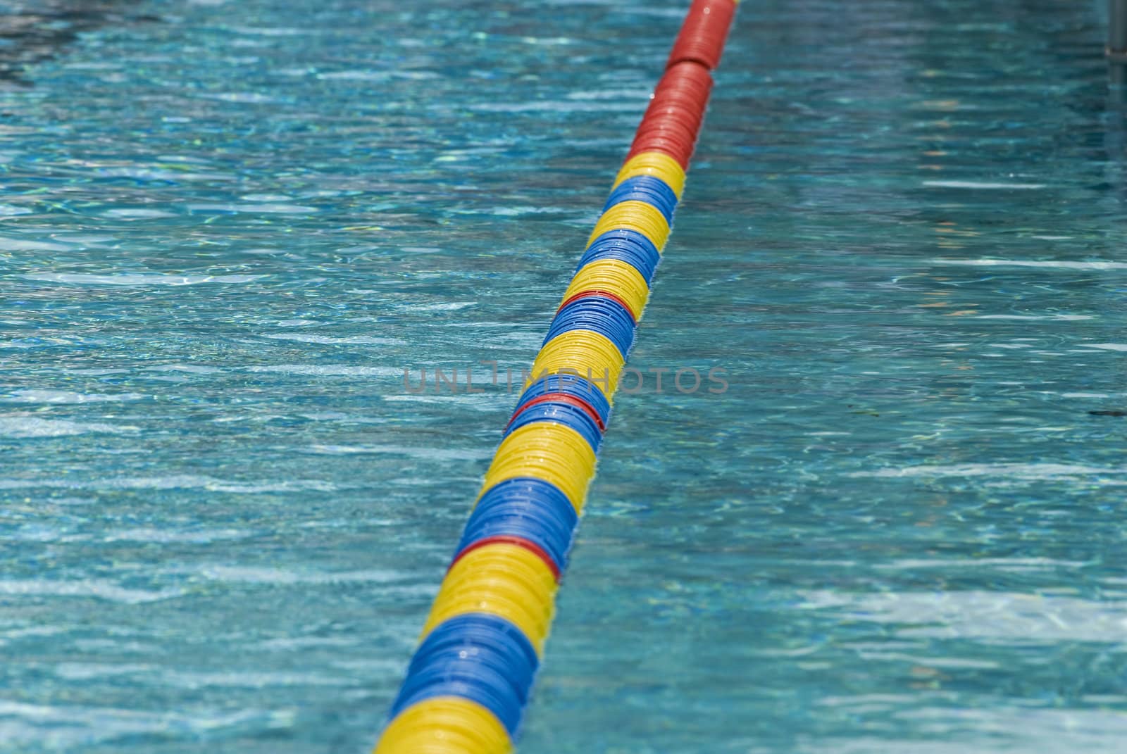 Swimming pool water surface detail with floaters.