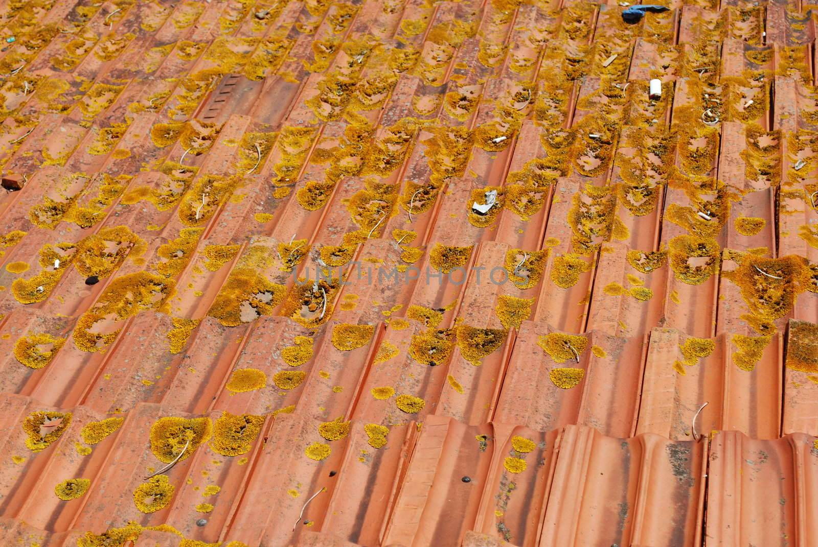 photo of a rustic and dirty roof tiles (background)