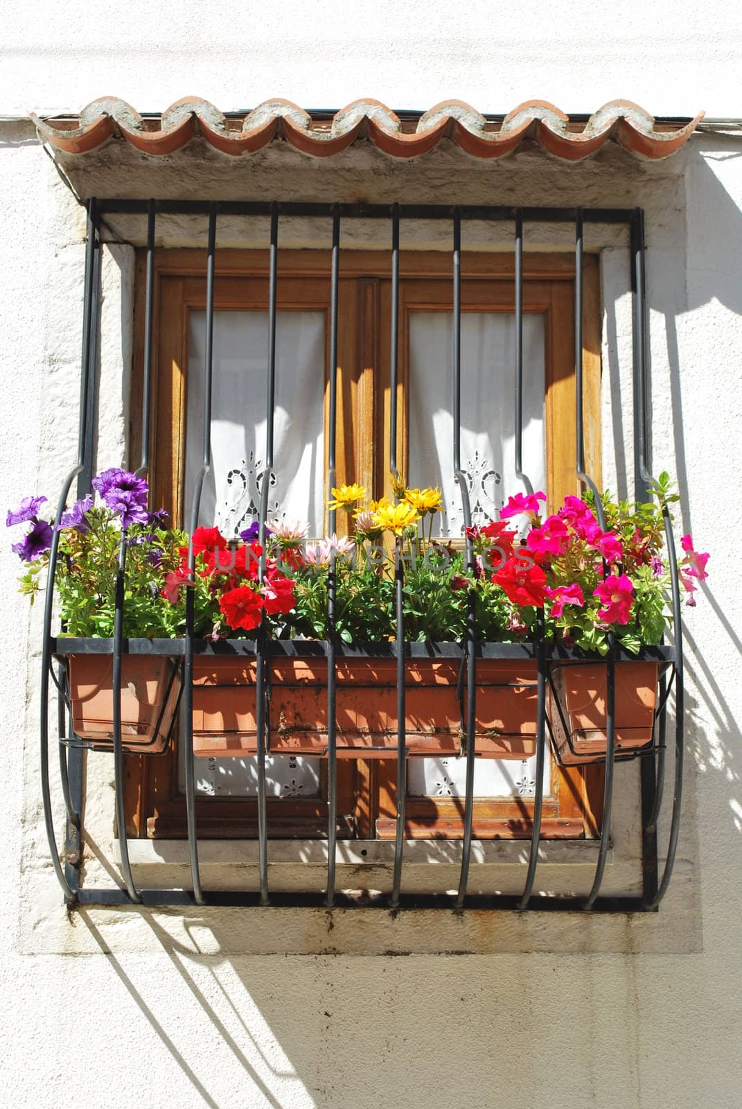 beautiful and enchanted balcony of a residential window building with gorgeous flowers