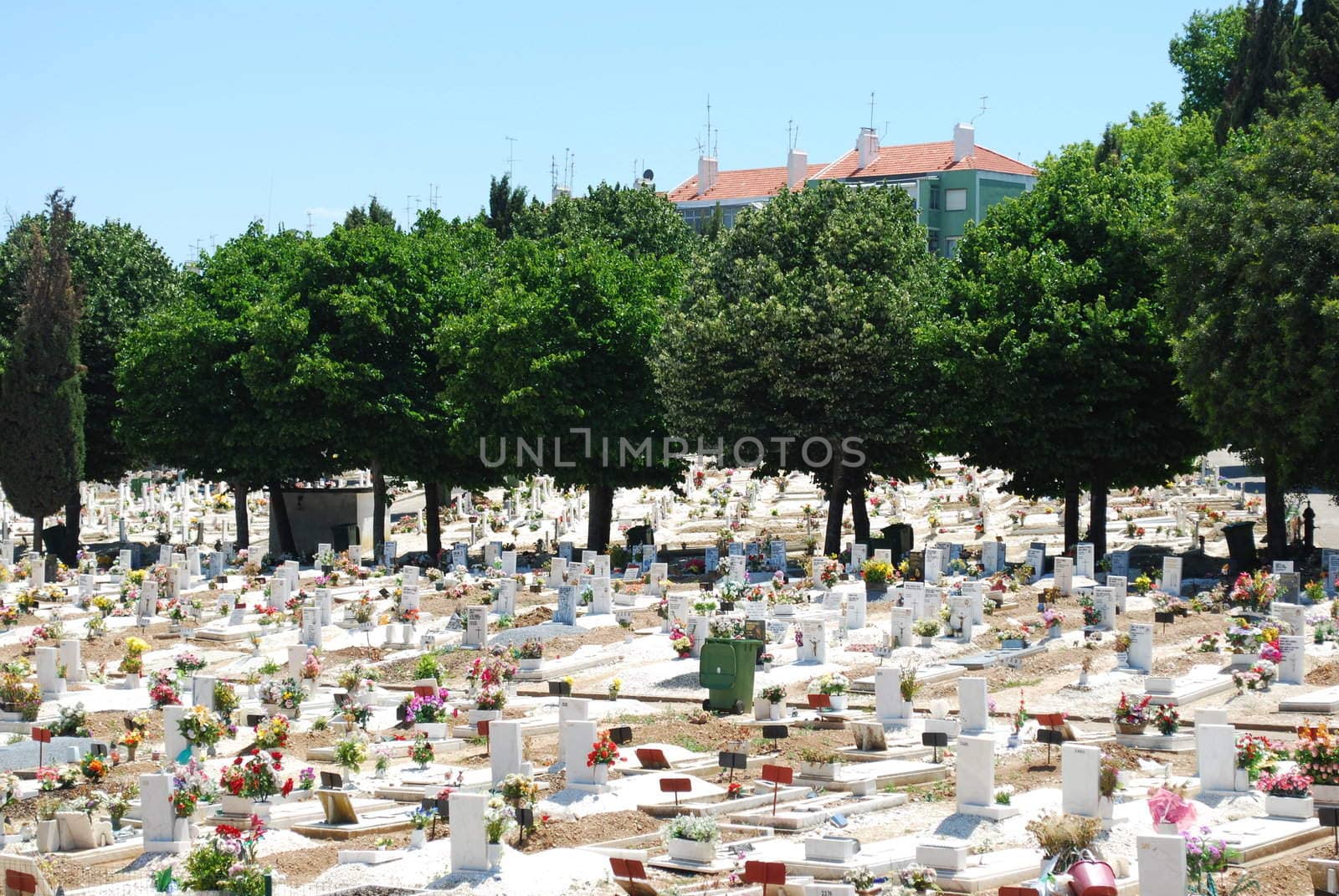 photo of a urban cemetery full of trees and flowers