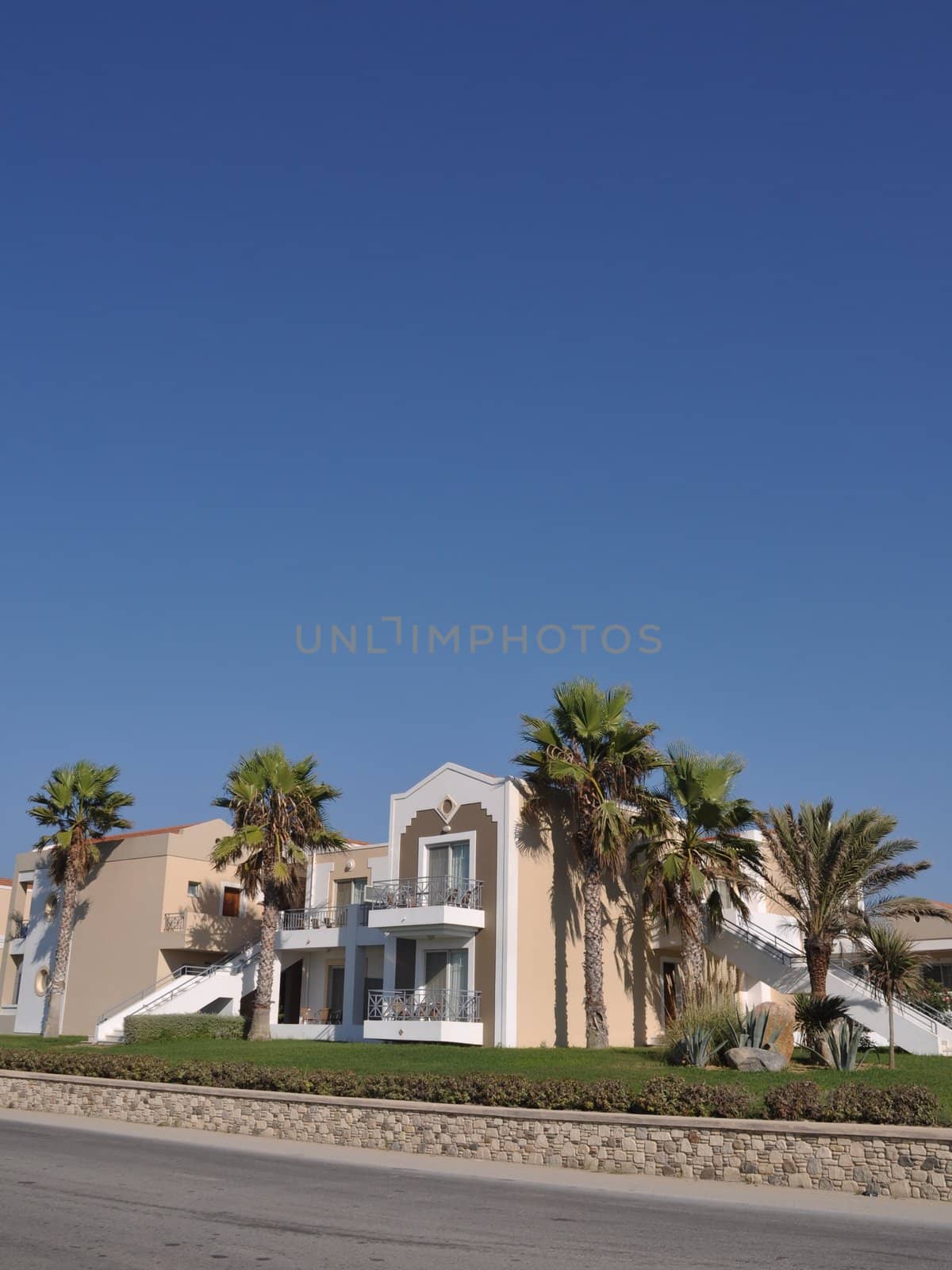 gorgeous hotel villa with palm trees in Greece (sea view)