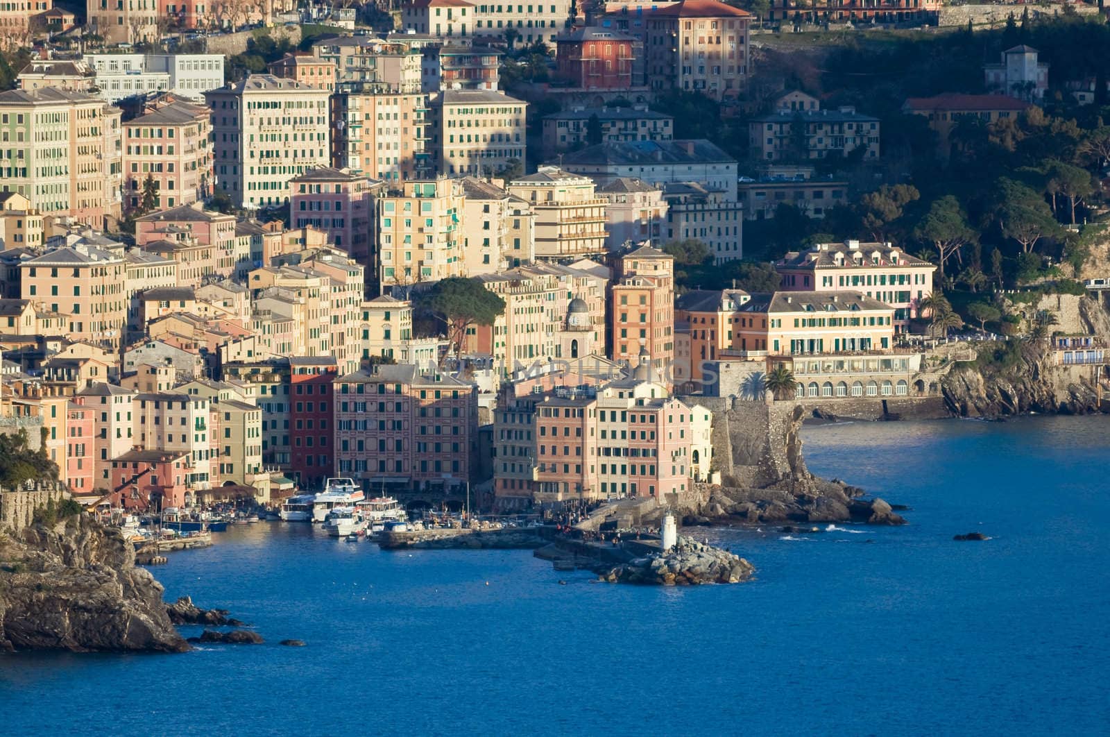 Camogli is a  characteristic famous little town near Genoa, Italy