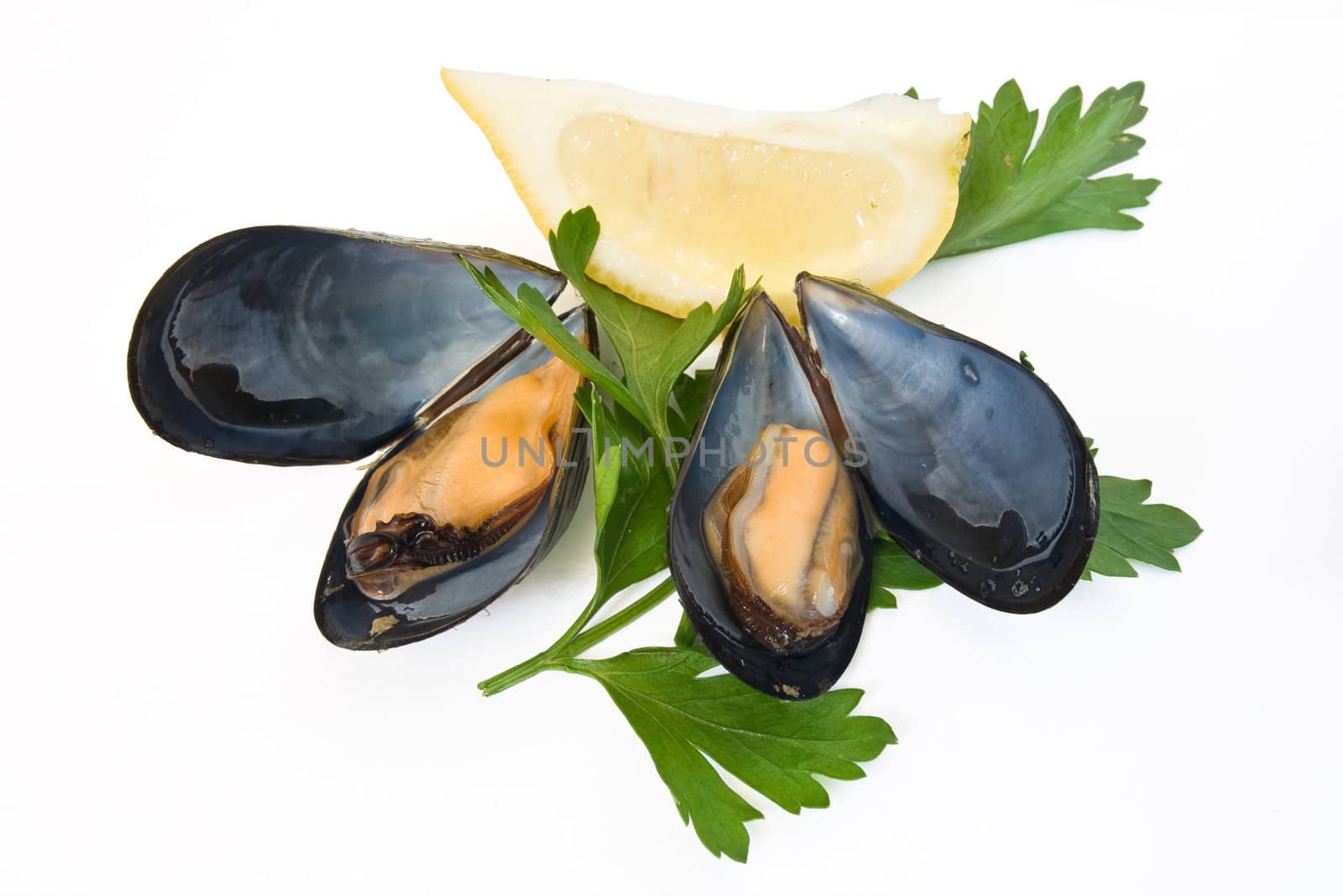 two boiled mussels with lemon and parsley isolated on white background