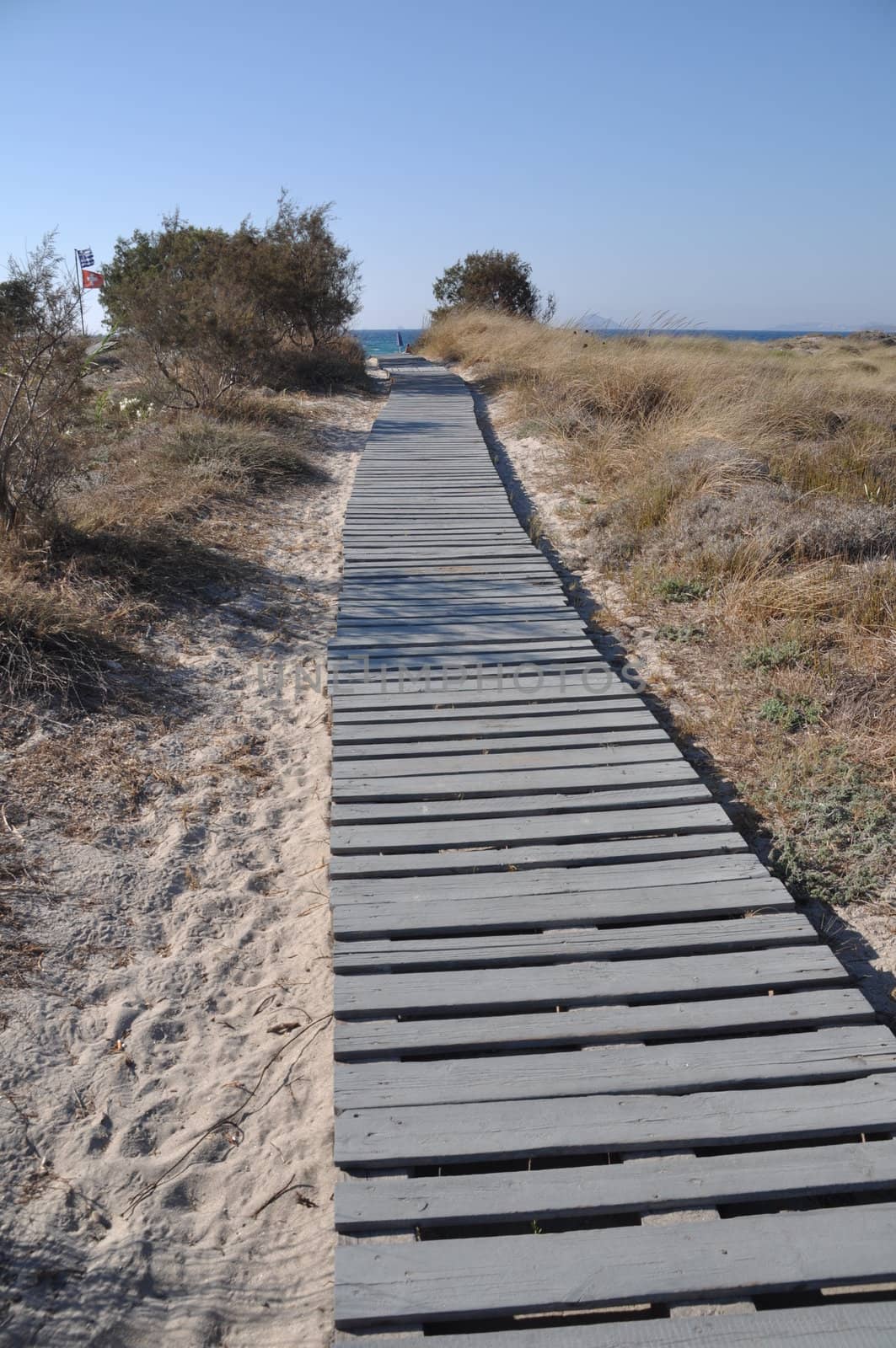 wooden walkway leading to the ocean (blue sky)