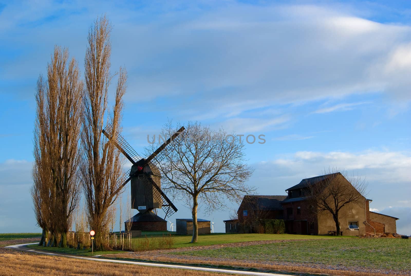 Morning light,field, traditional windmill and house