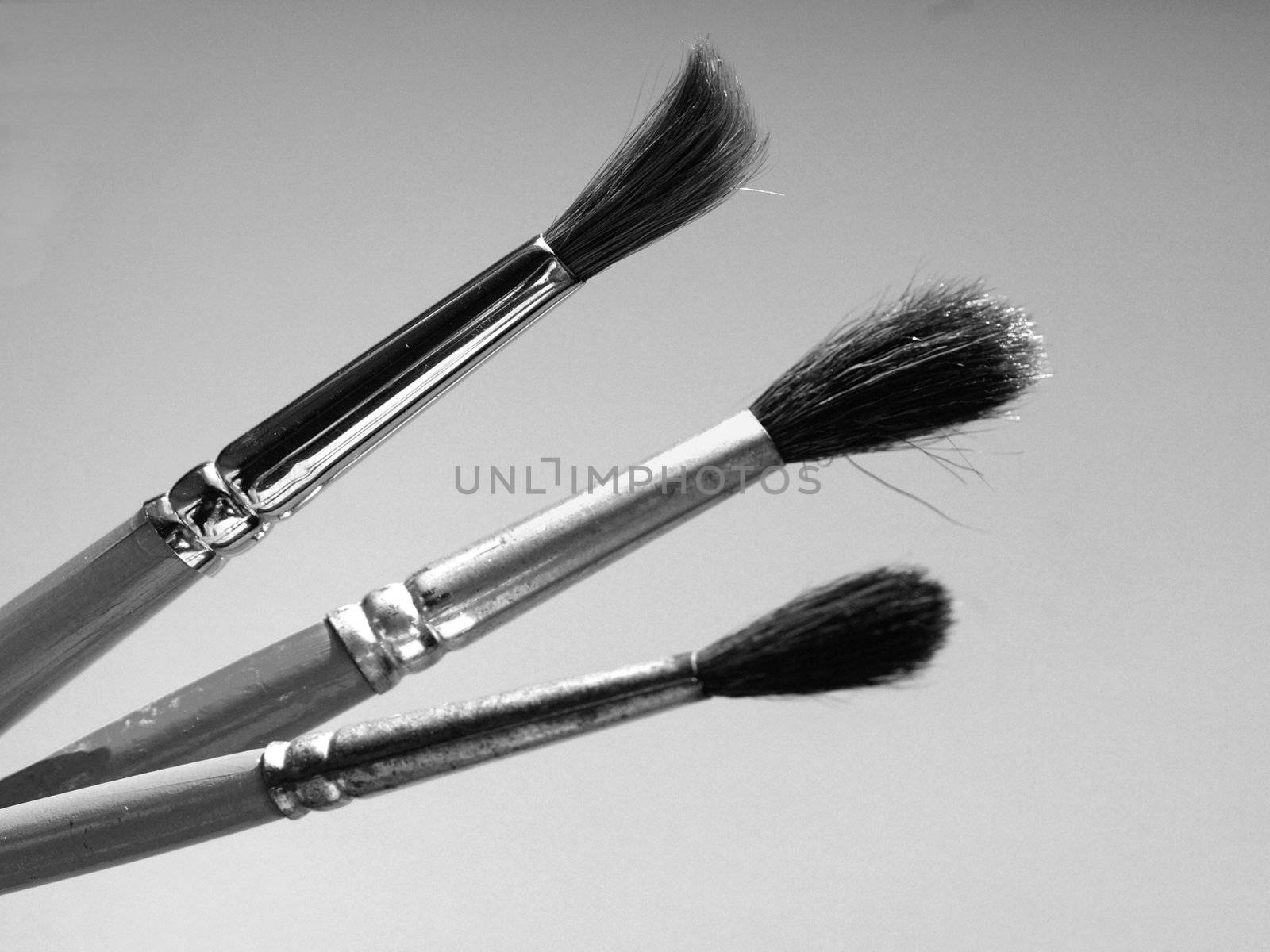 Paintbrushes tools for oil or tempera or watercolor painting