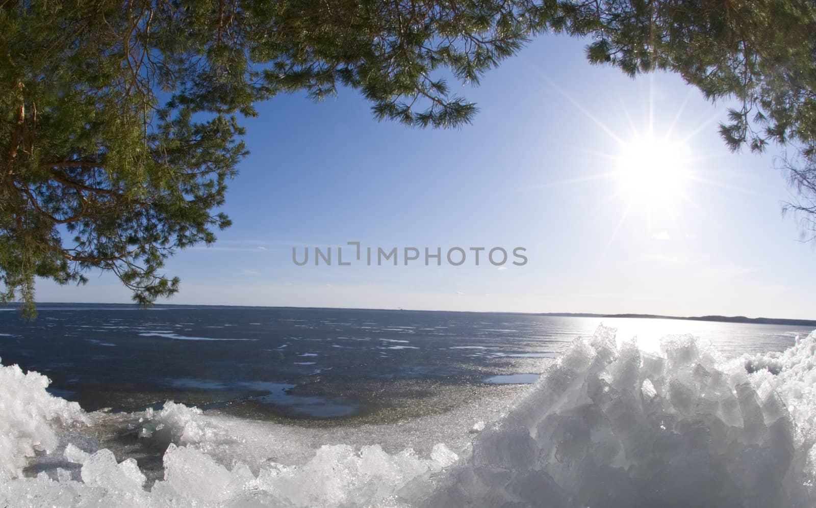 sunny lake with ice by Magnum