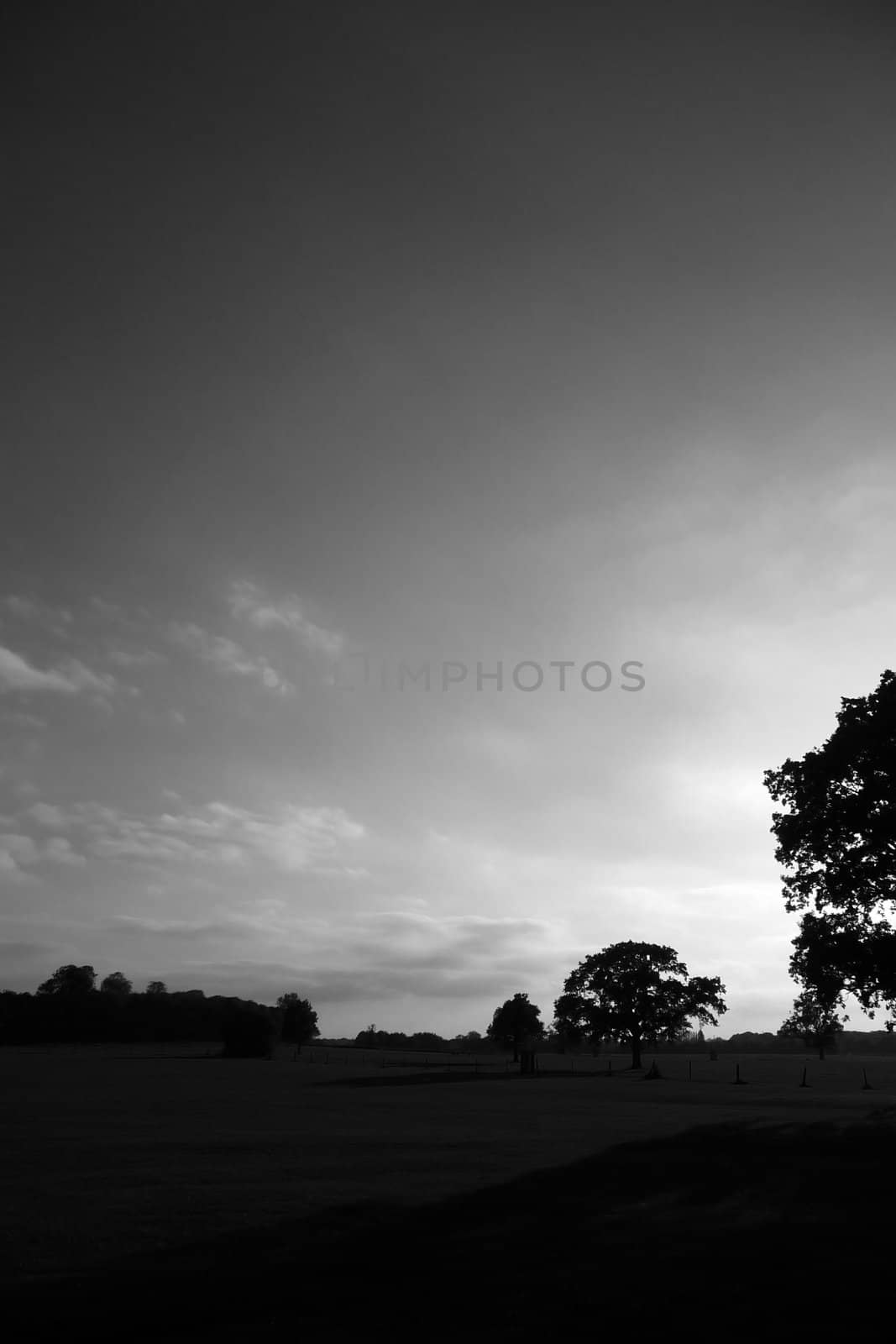 Black and white view of a landscape in Lydiard park.