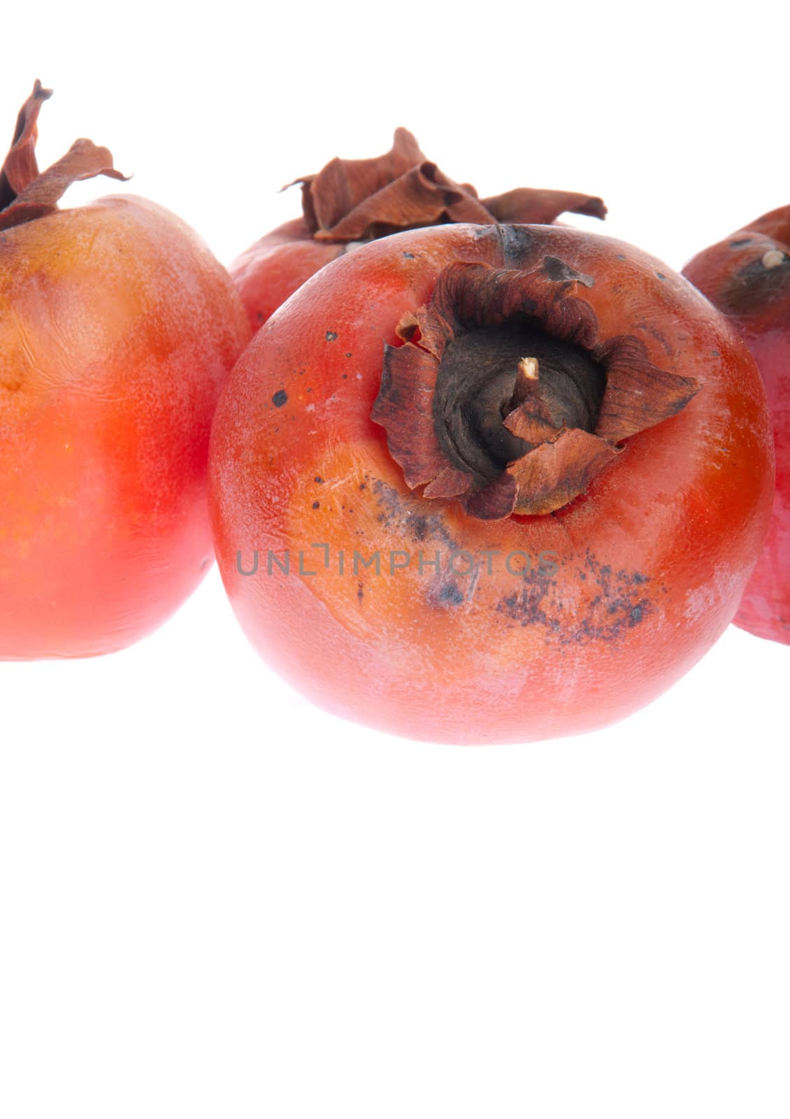 rotten persimmon fruits isolated on white background