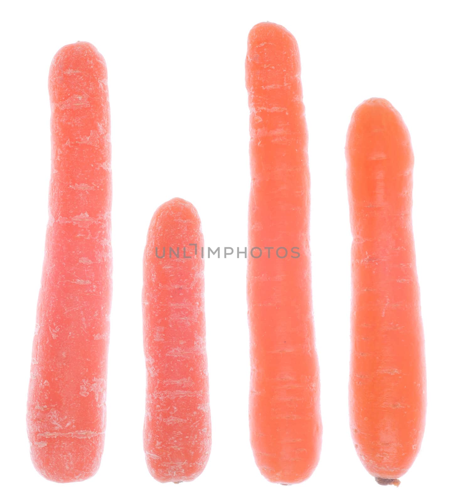 two different types of carrots isolated on white background