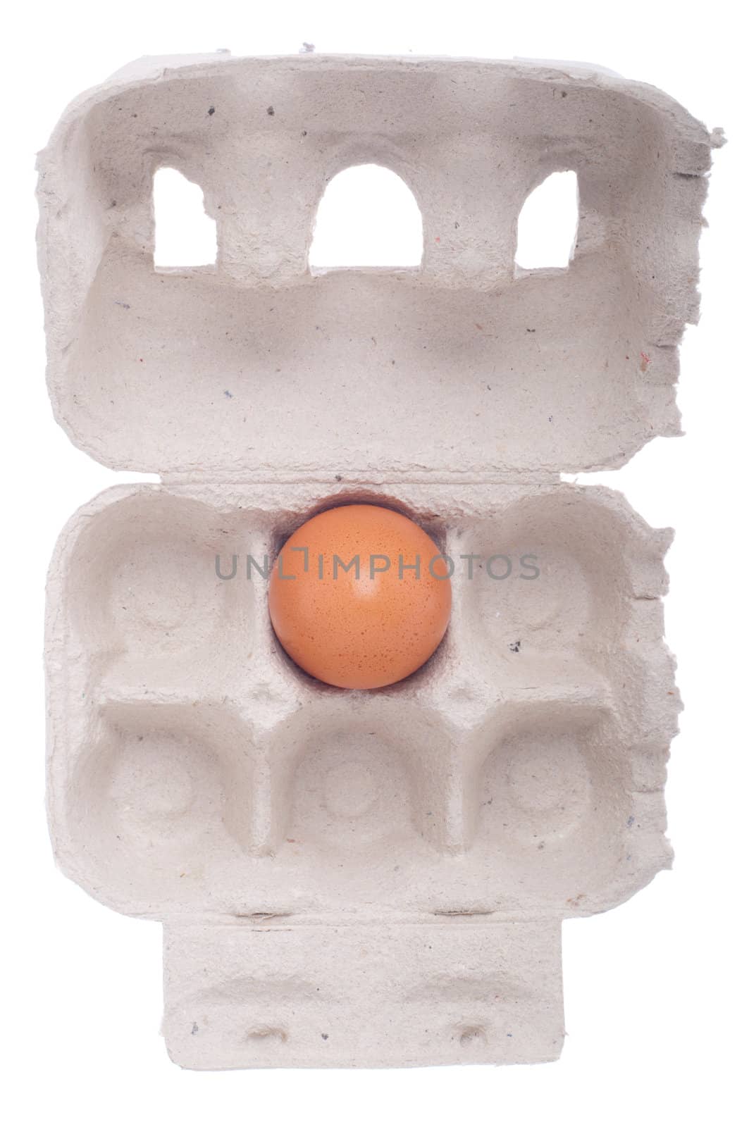 lonely fresh egg in a carton box isolated on white background