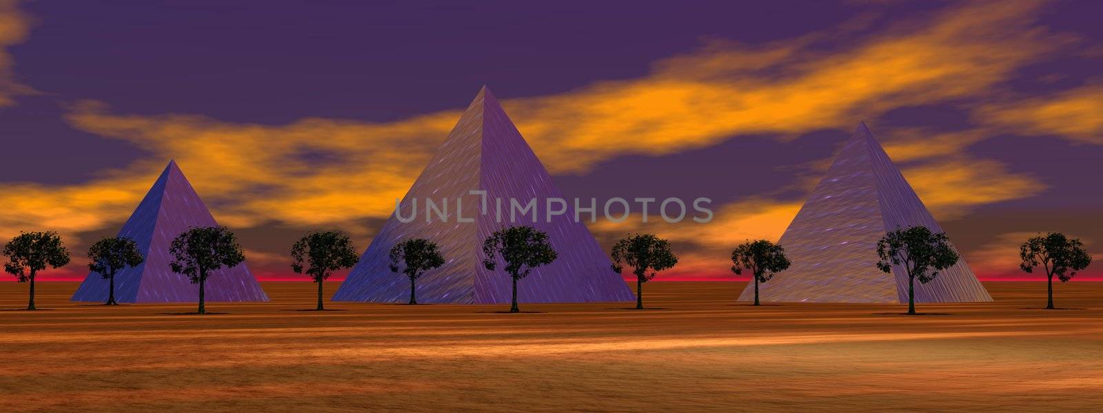 pyramids purpule and trees