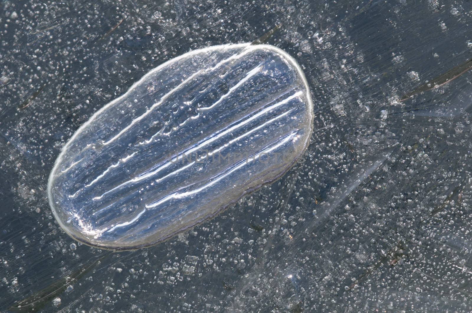 Air bubble captured in cristal clear ice