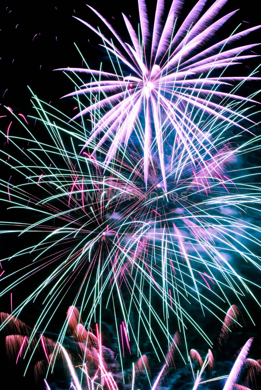 Firework streaks in the night sky during celebrations.