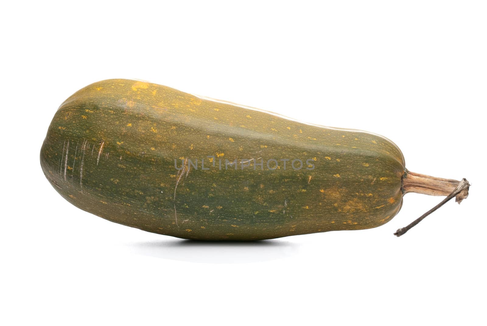 Single fresh pumpkin isolated on white background.