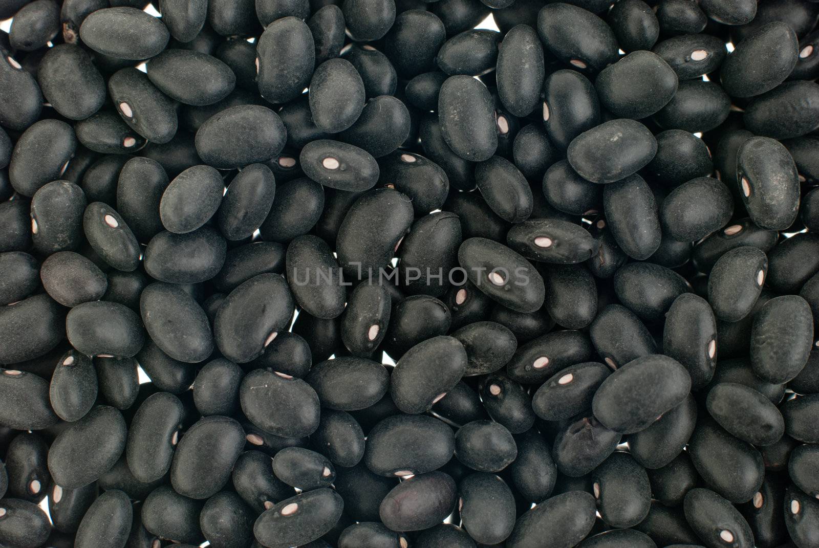 Black beans by homydesign