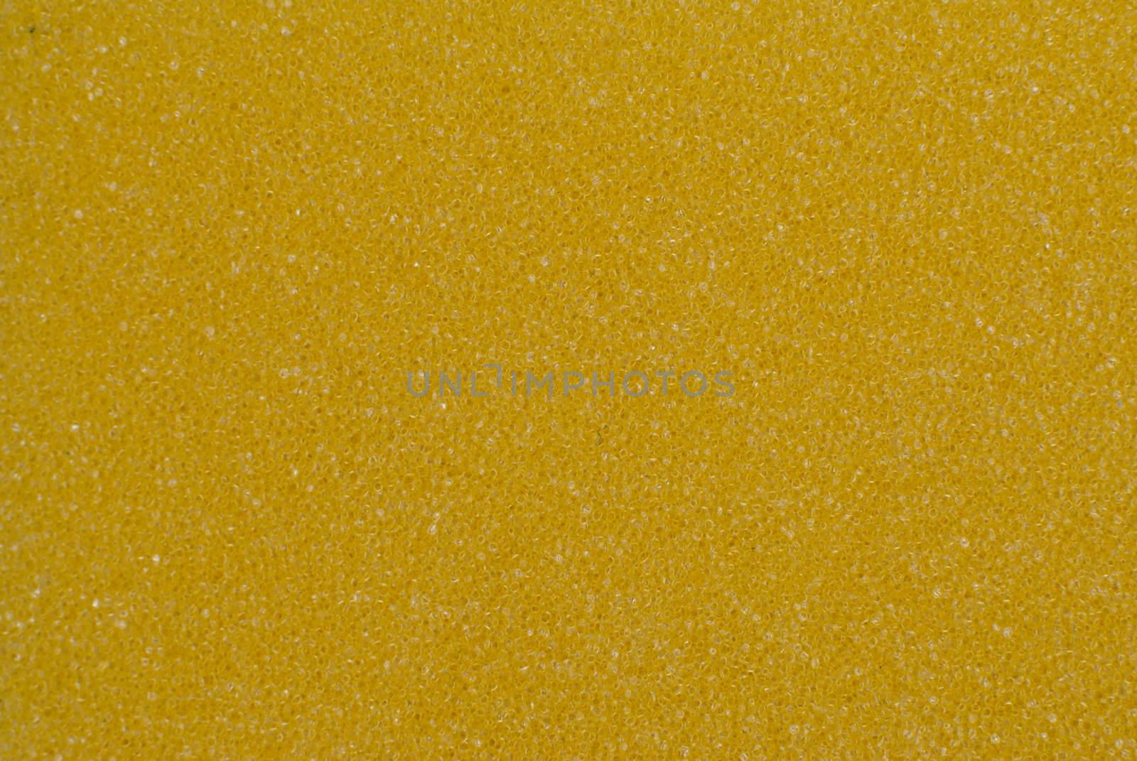 Green and yellow Sponge texture detail.