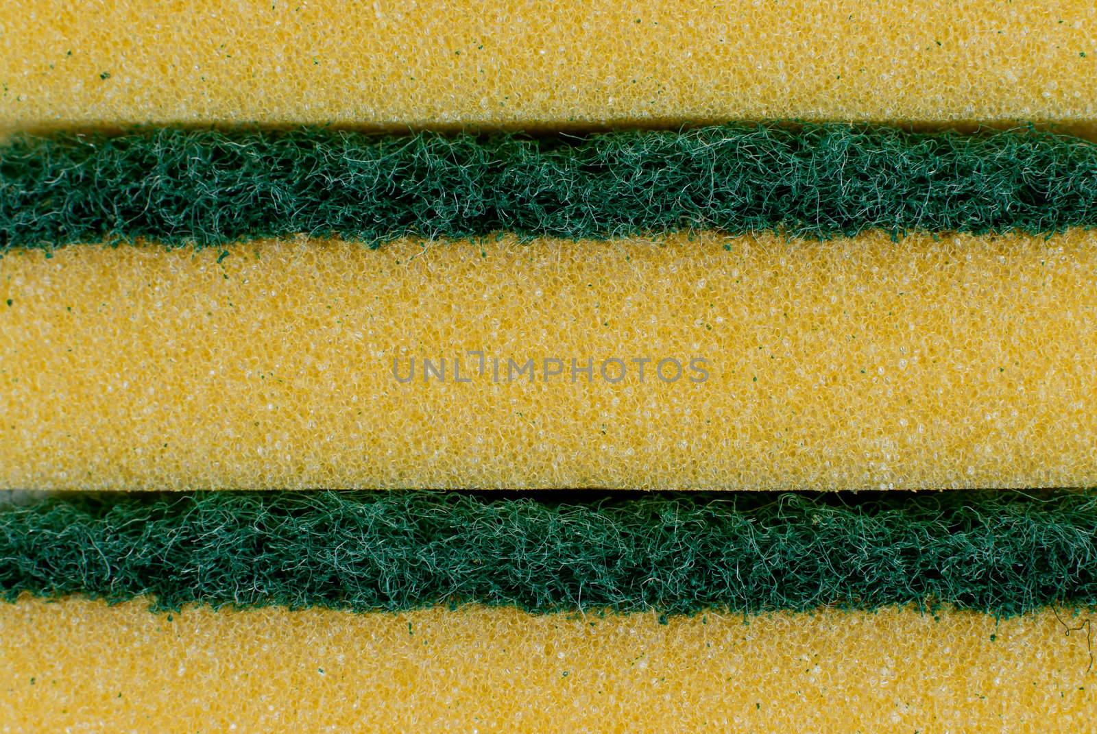 Green and yellow Sponge texture detail.