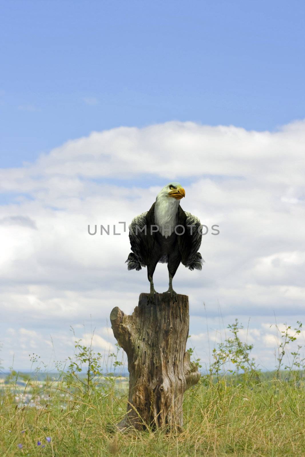 This image shows a stump with a 3d rendered eagle