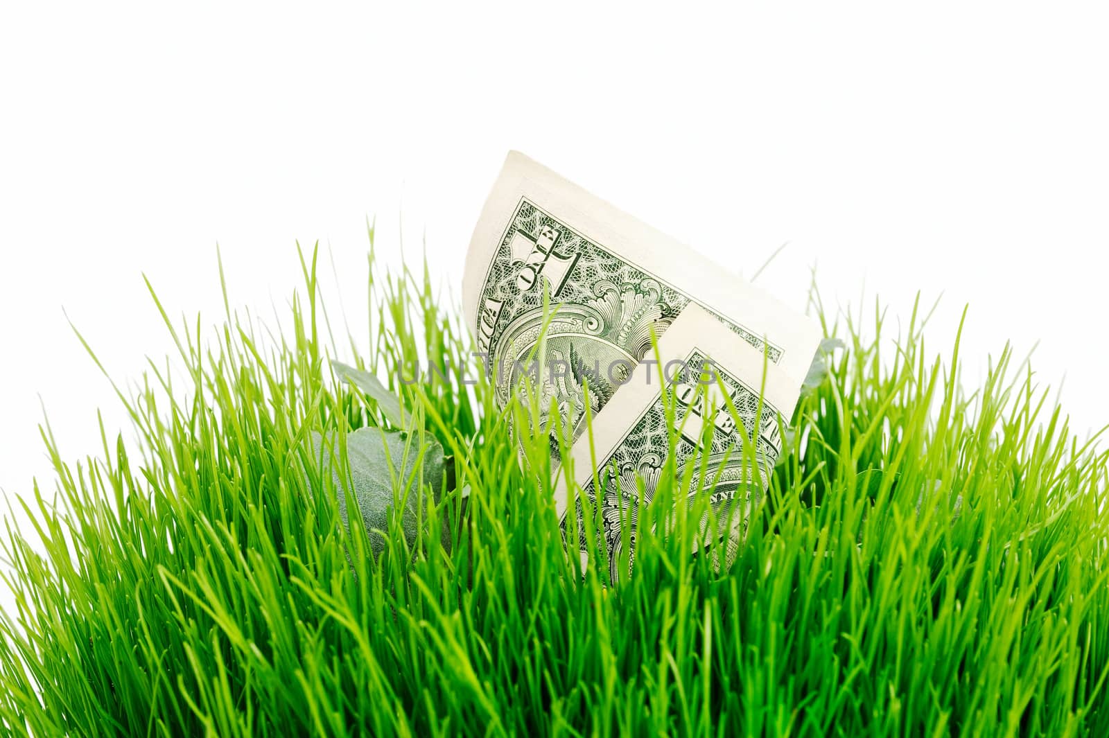 In the long green grass place banknote