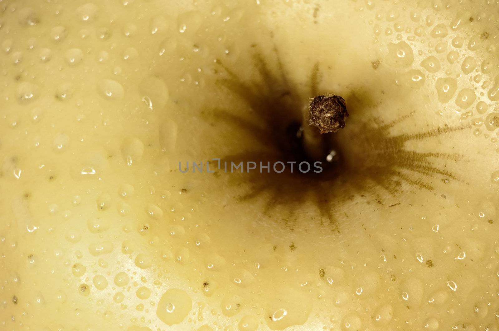 close up shot of a yellow apple with some drops of water