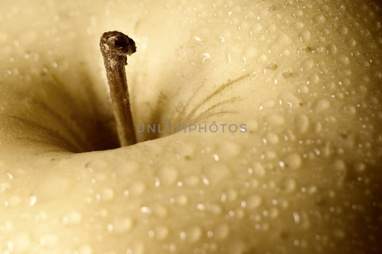close up shot of a yellow apple with some drops of water