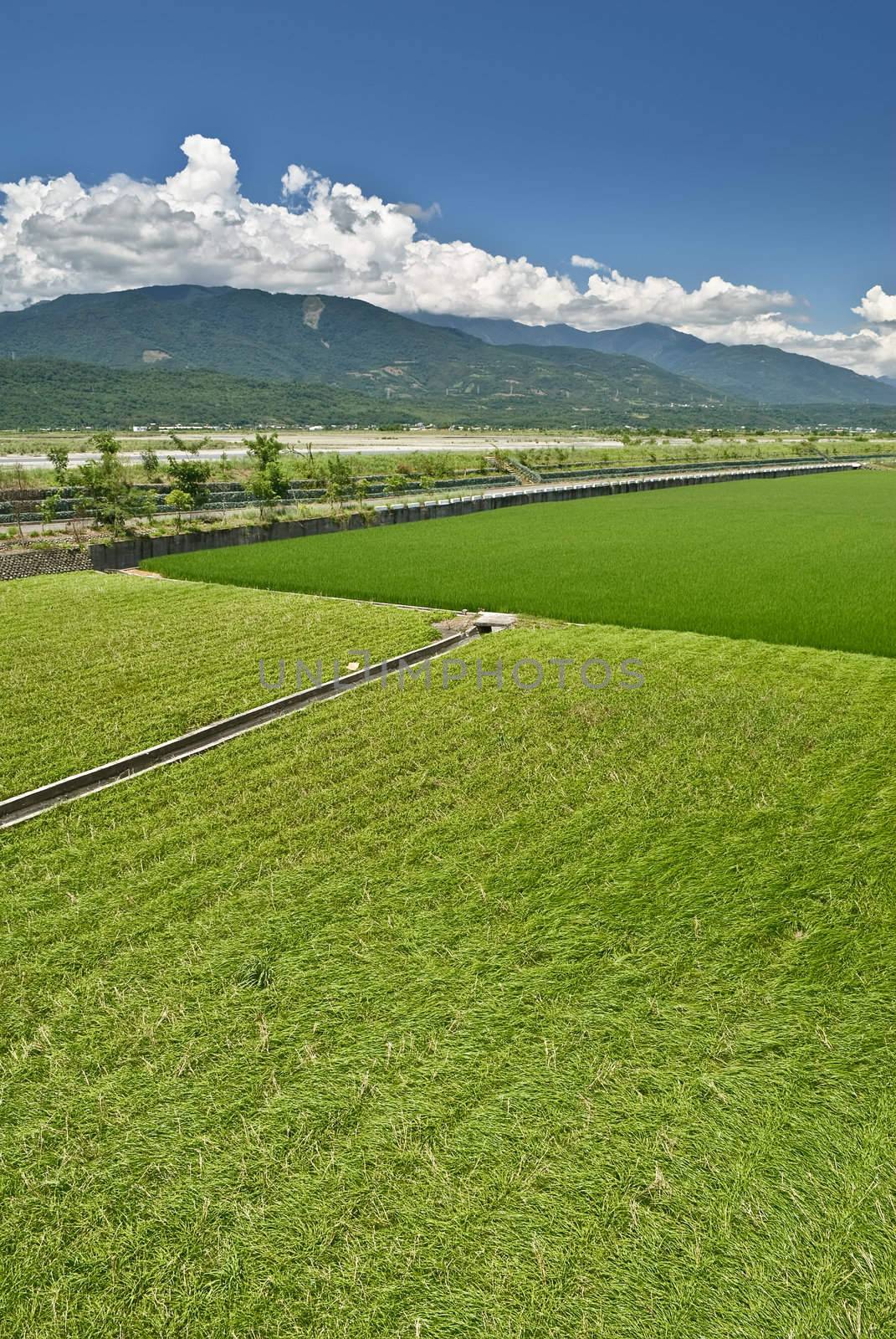 Green farm under blue sky in countryside.