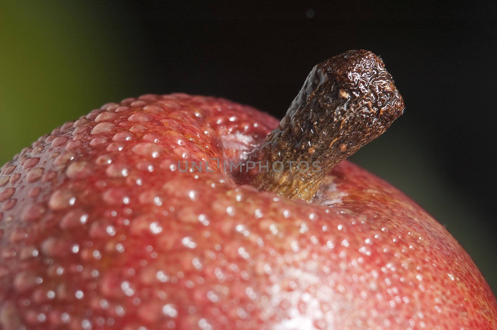 macro close up shot of a red pear