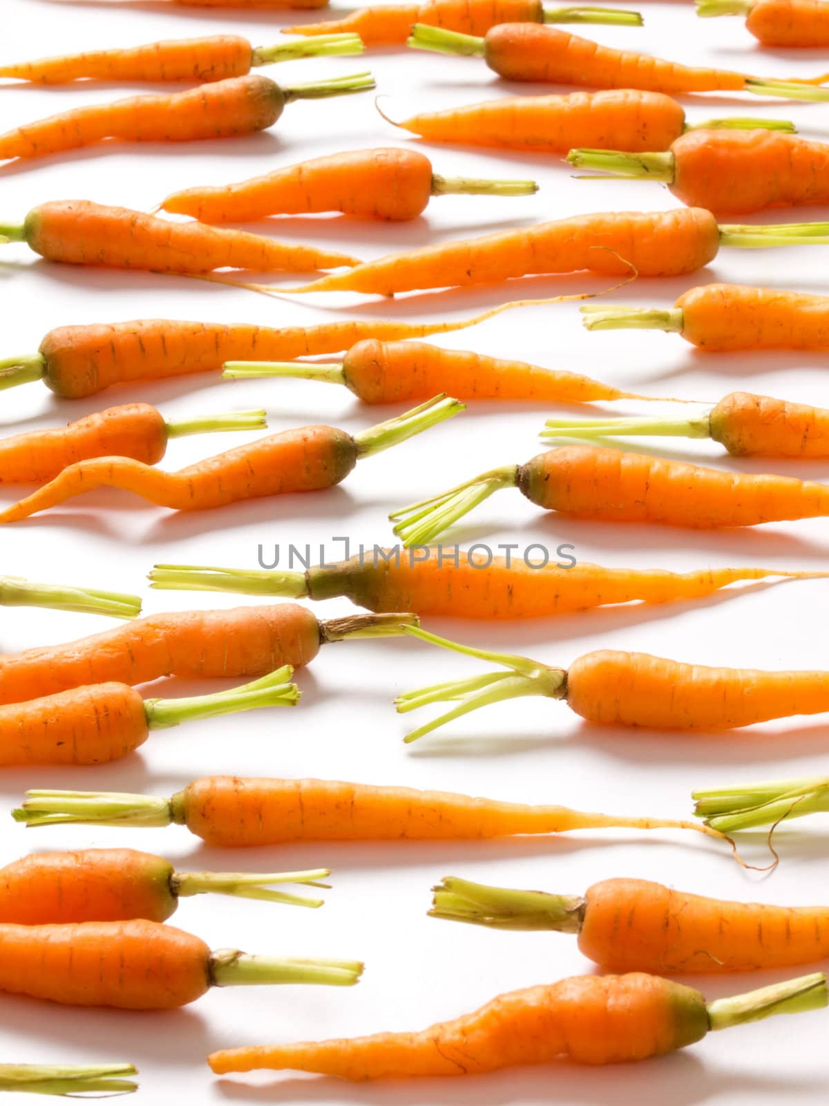 baby carrots on white by zkruger