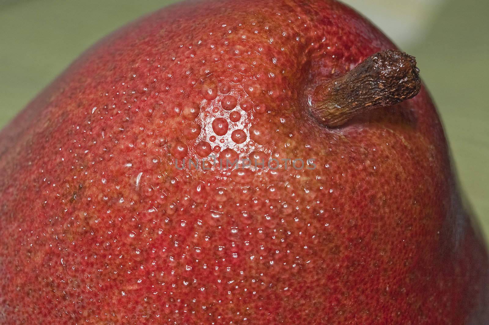 macro close up shot of a red pear
