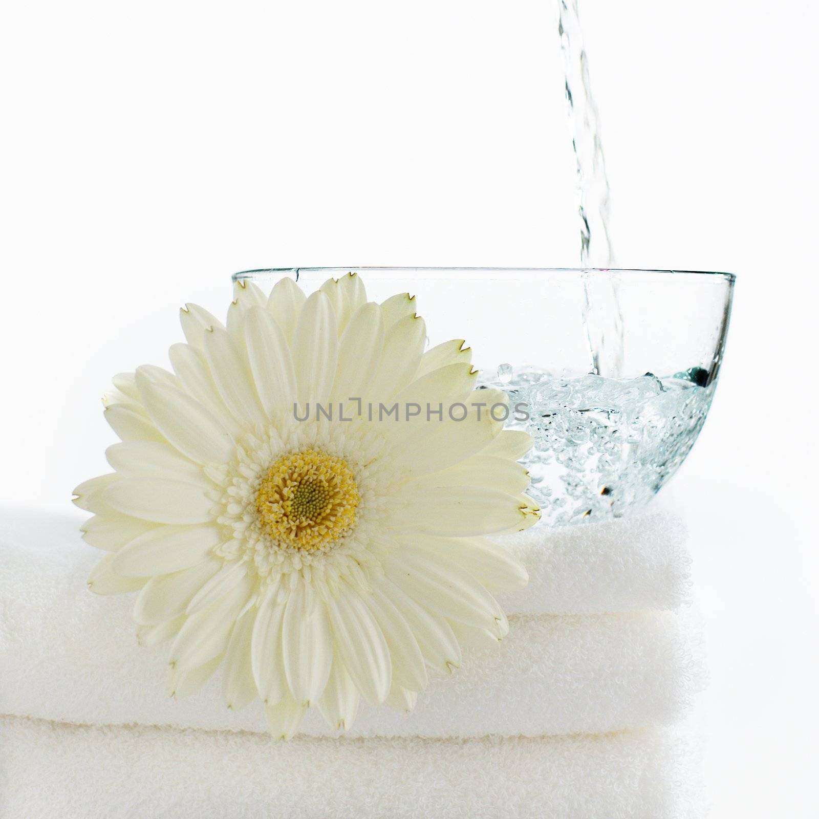 Water pouring into a clear bowl against white with flower.
