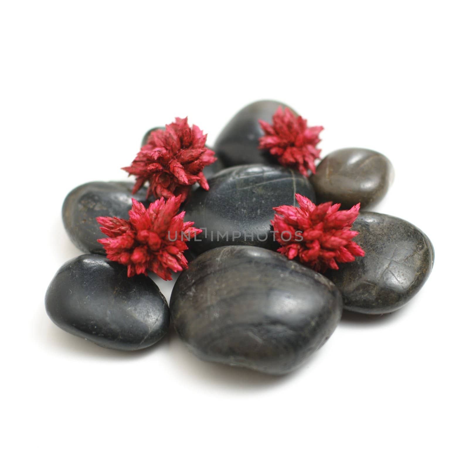 Floral rock display on a white background.