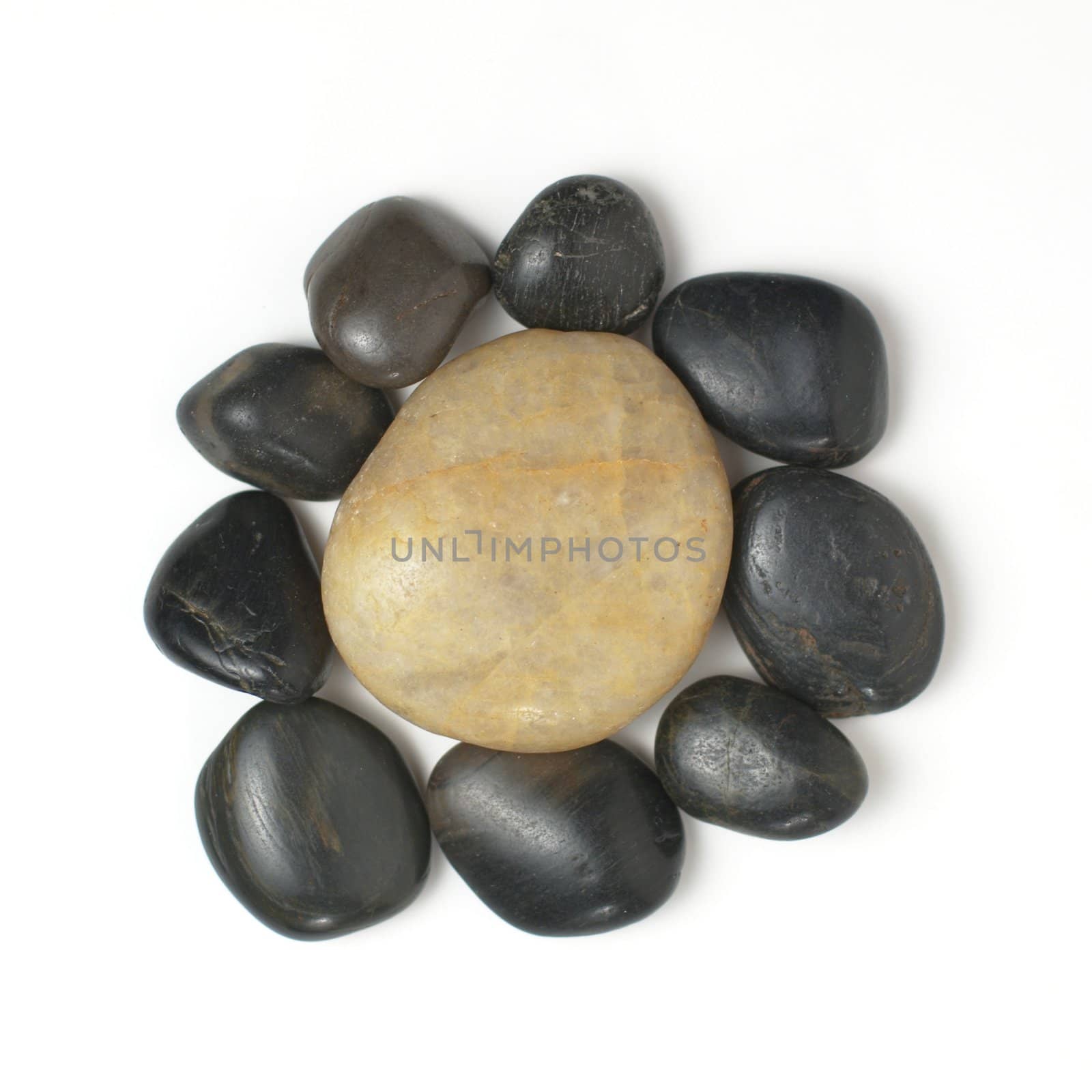 Group of rocks on display on a white background.