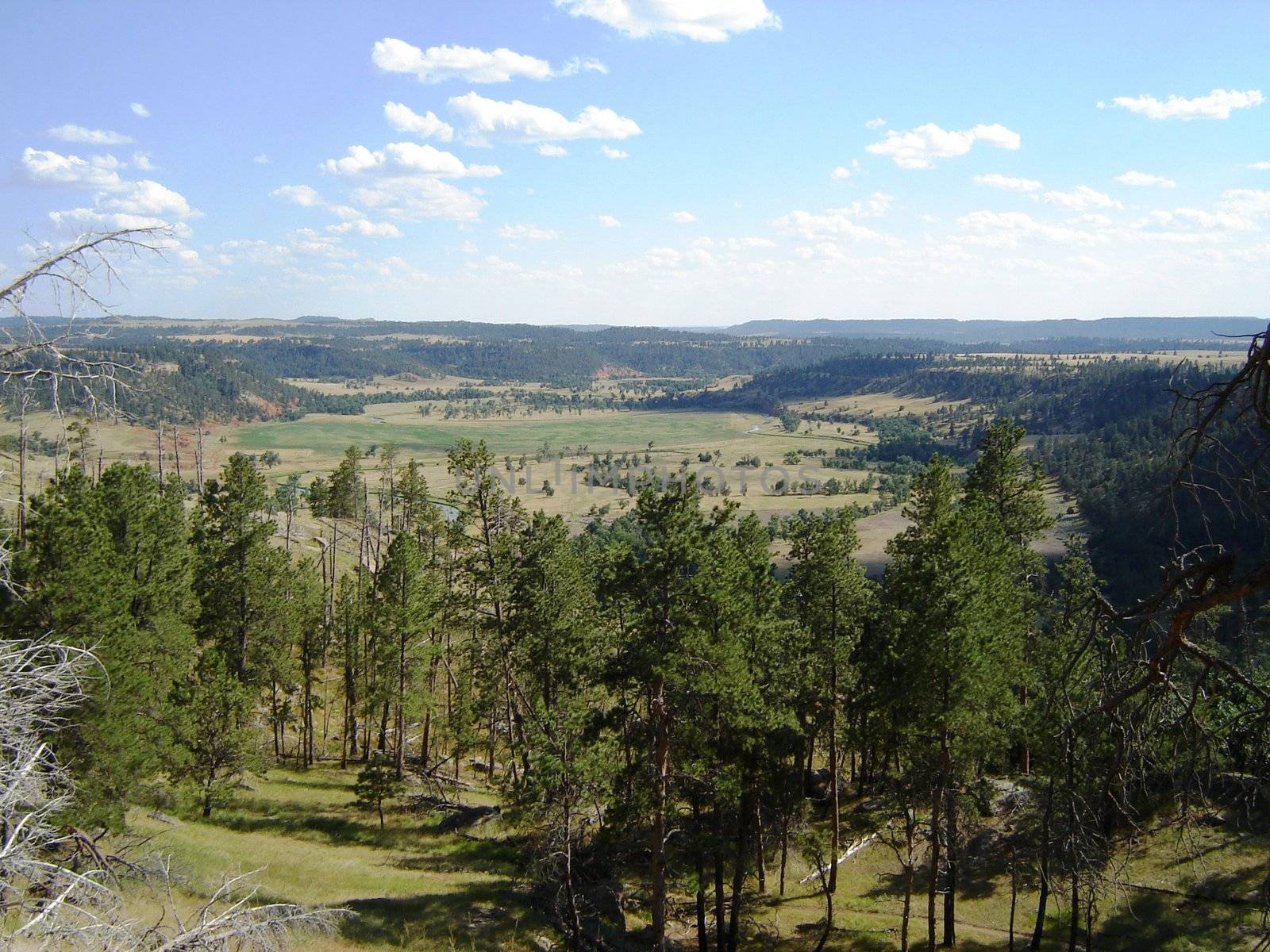Montana Landscape by RefocusPhoto