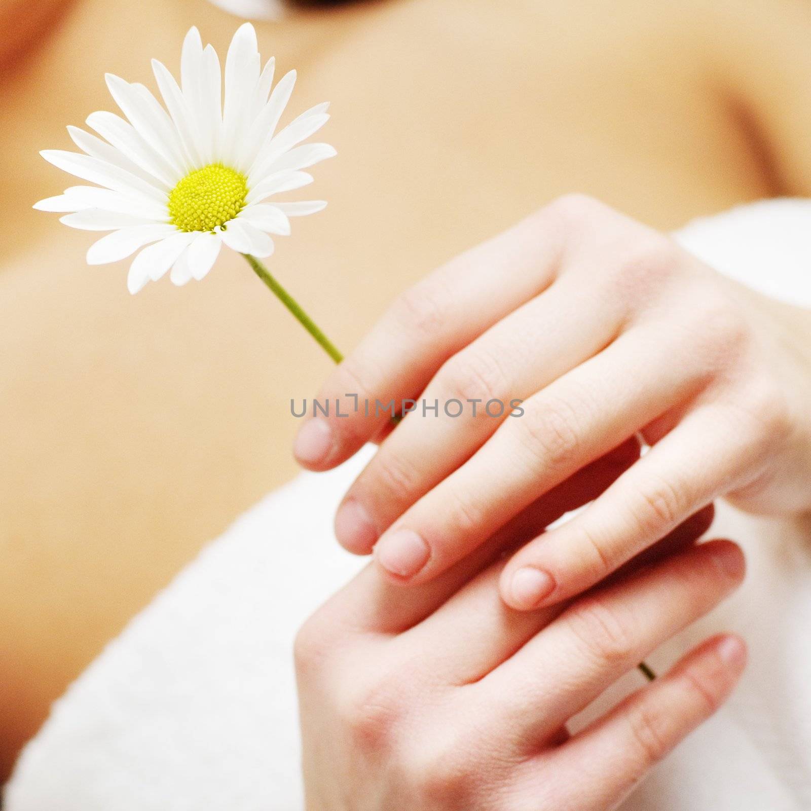 Close up of a flower held by a woman.