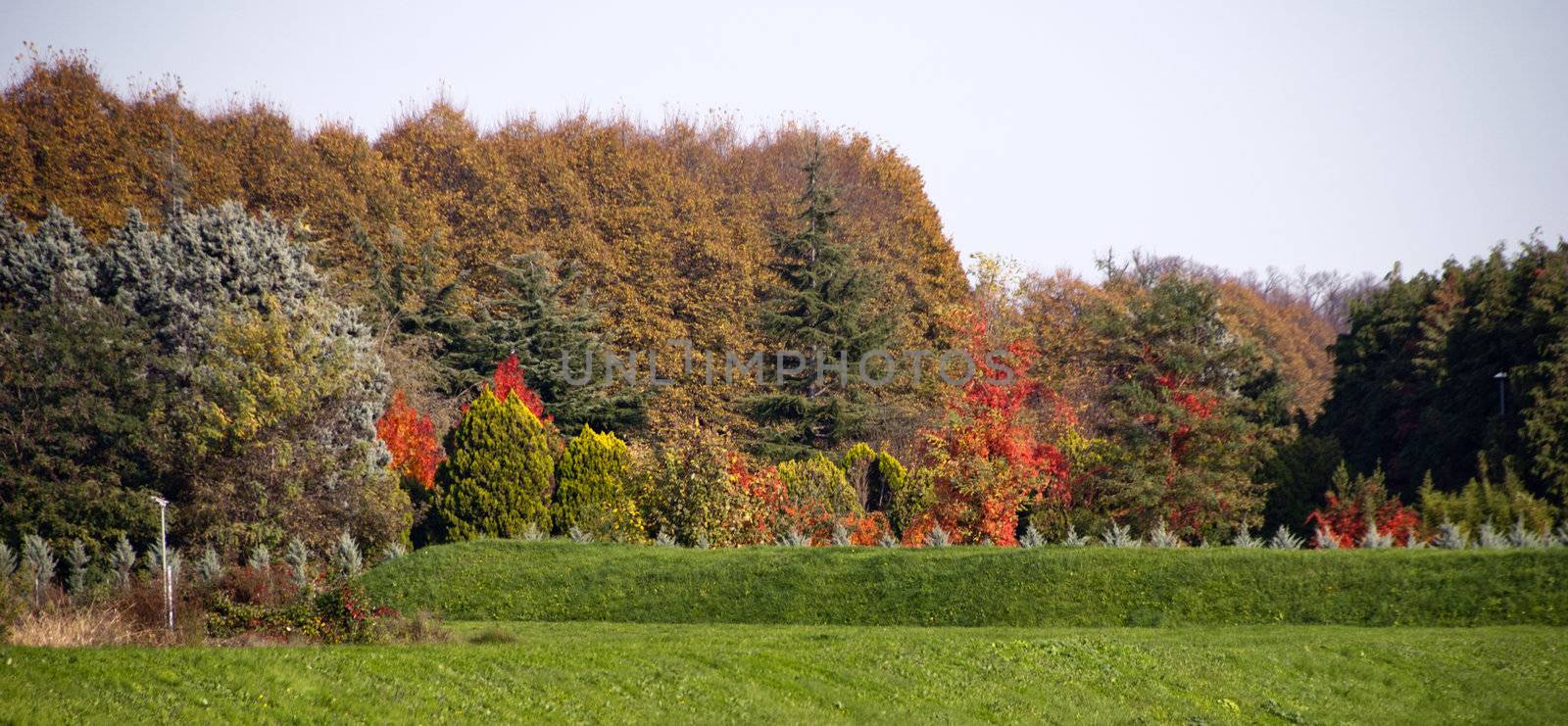 Colors of Fall in Lucca, Tuscany